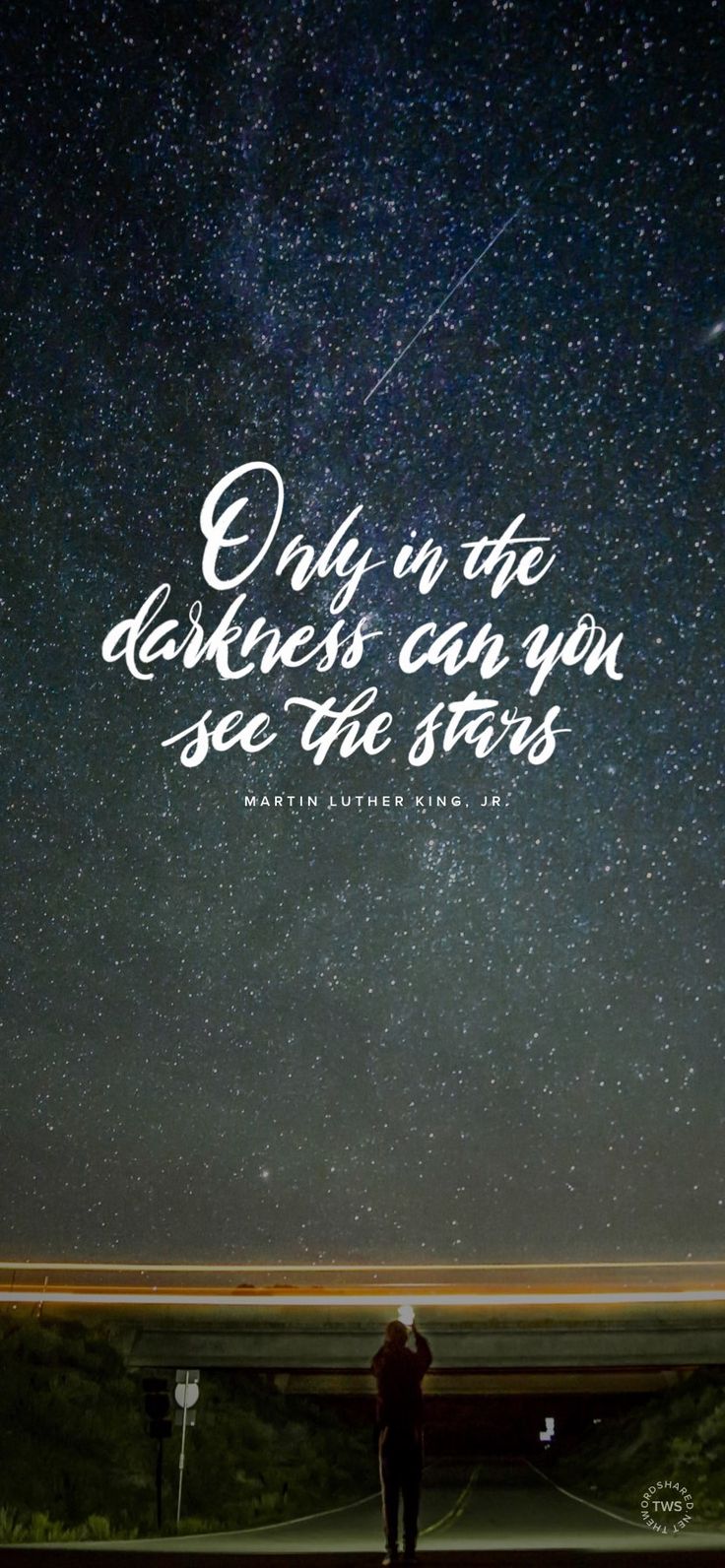Only in the darkness can you see the stars. Mlk quotes, Martin luther king quotes, King quotes
