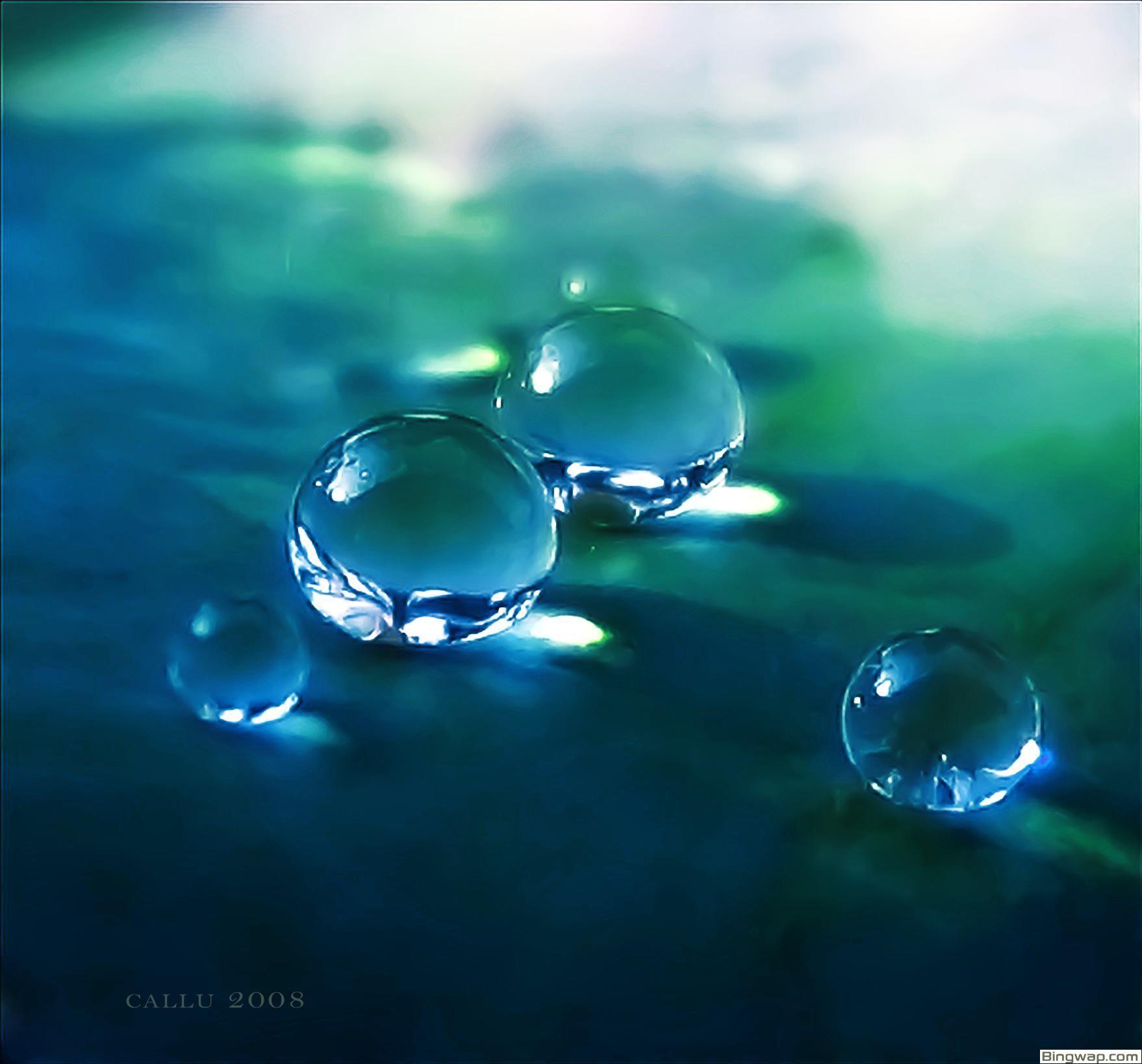 Transparent Wallpaper