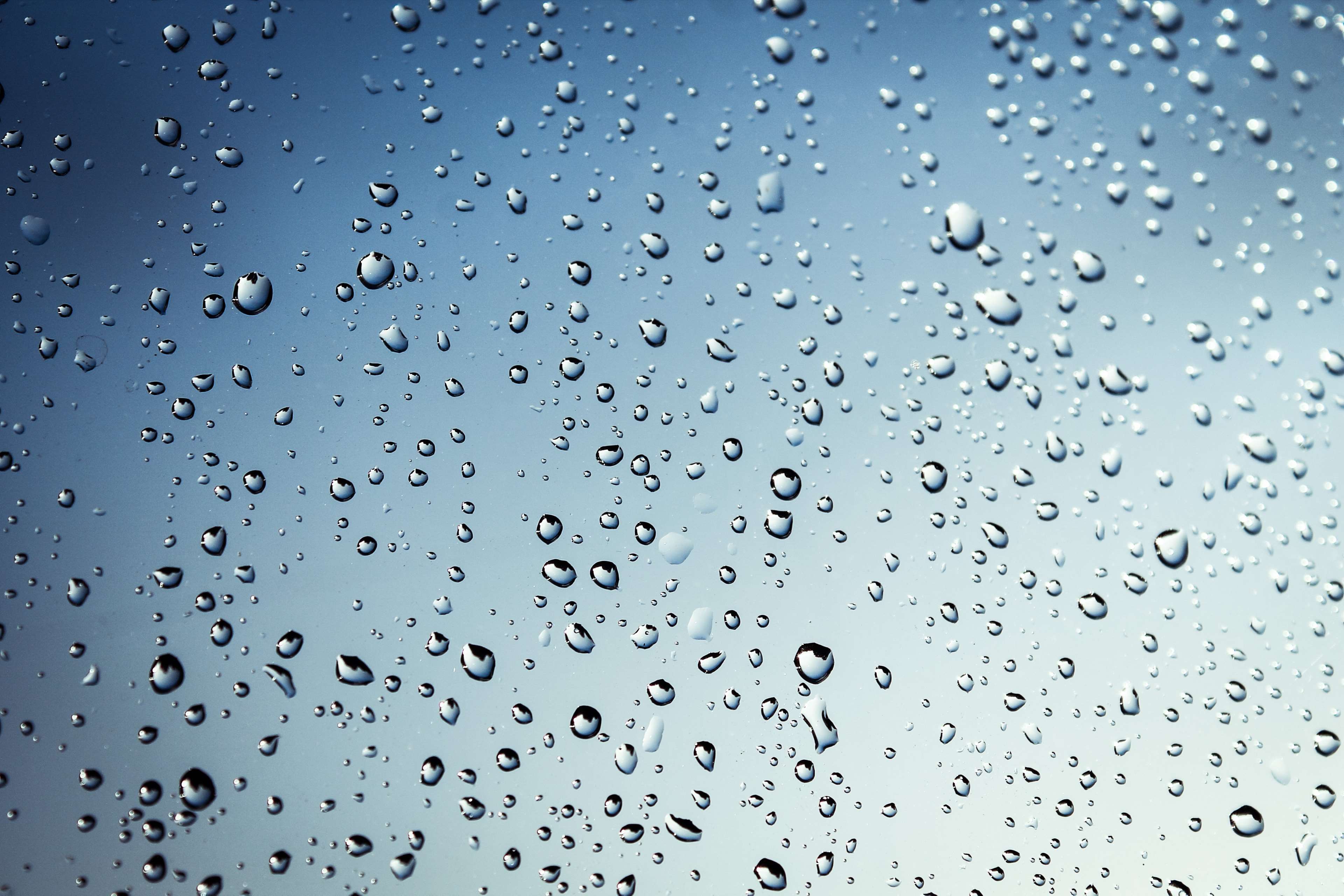 droplets, drops, drops of water, transparent, water 4k Gallery HD Wallpaper