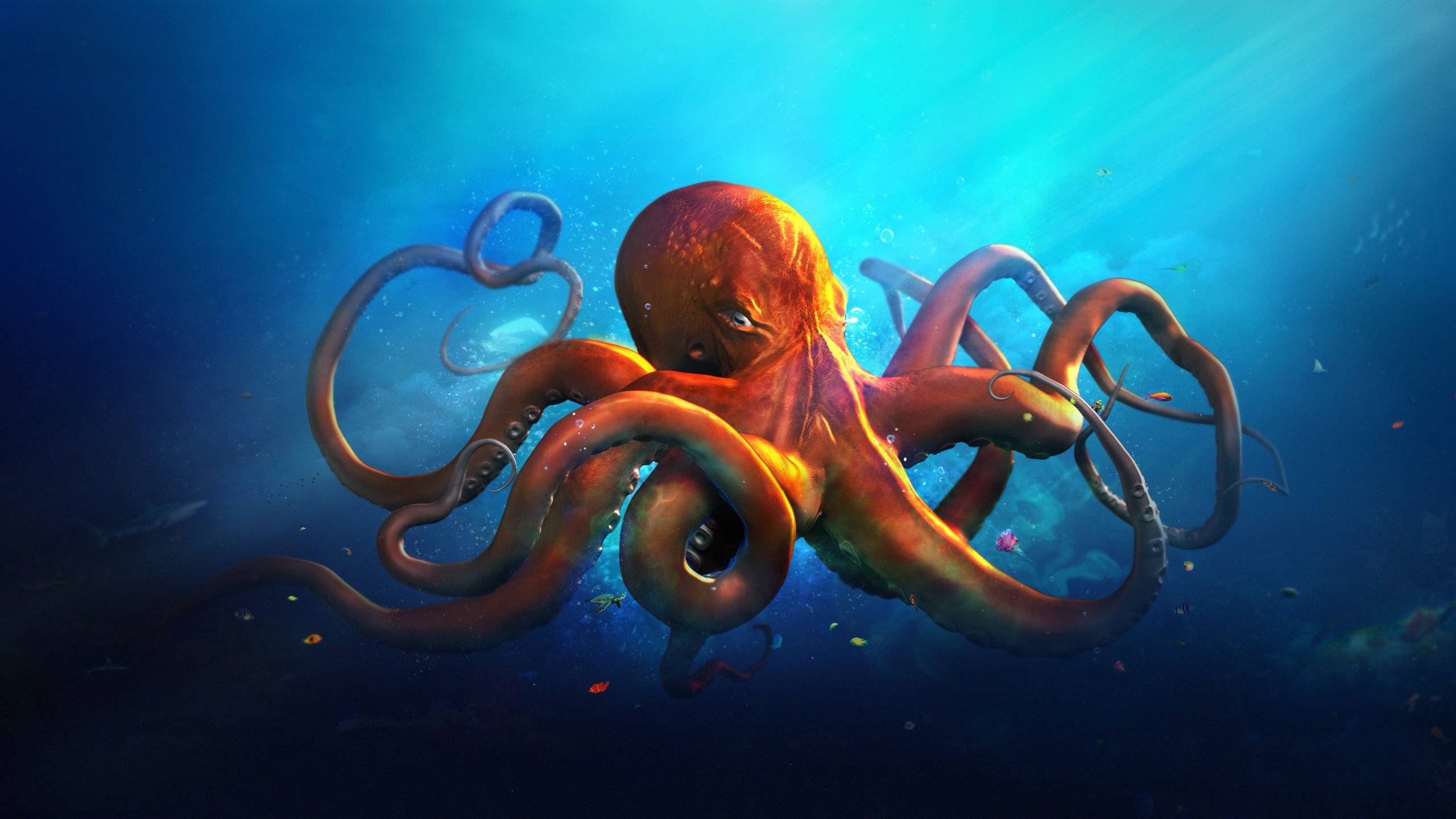 Free download Animals octopus ocean sea fantasy artwork art wallpaper background [2560x1440] for your Desktop, Mobile & Tablet. Explore 4K Live Wallpaper Windows 10. Live Wallpaper Windows 10, 4K