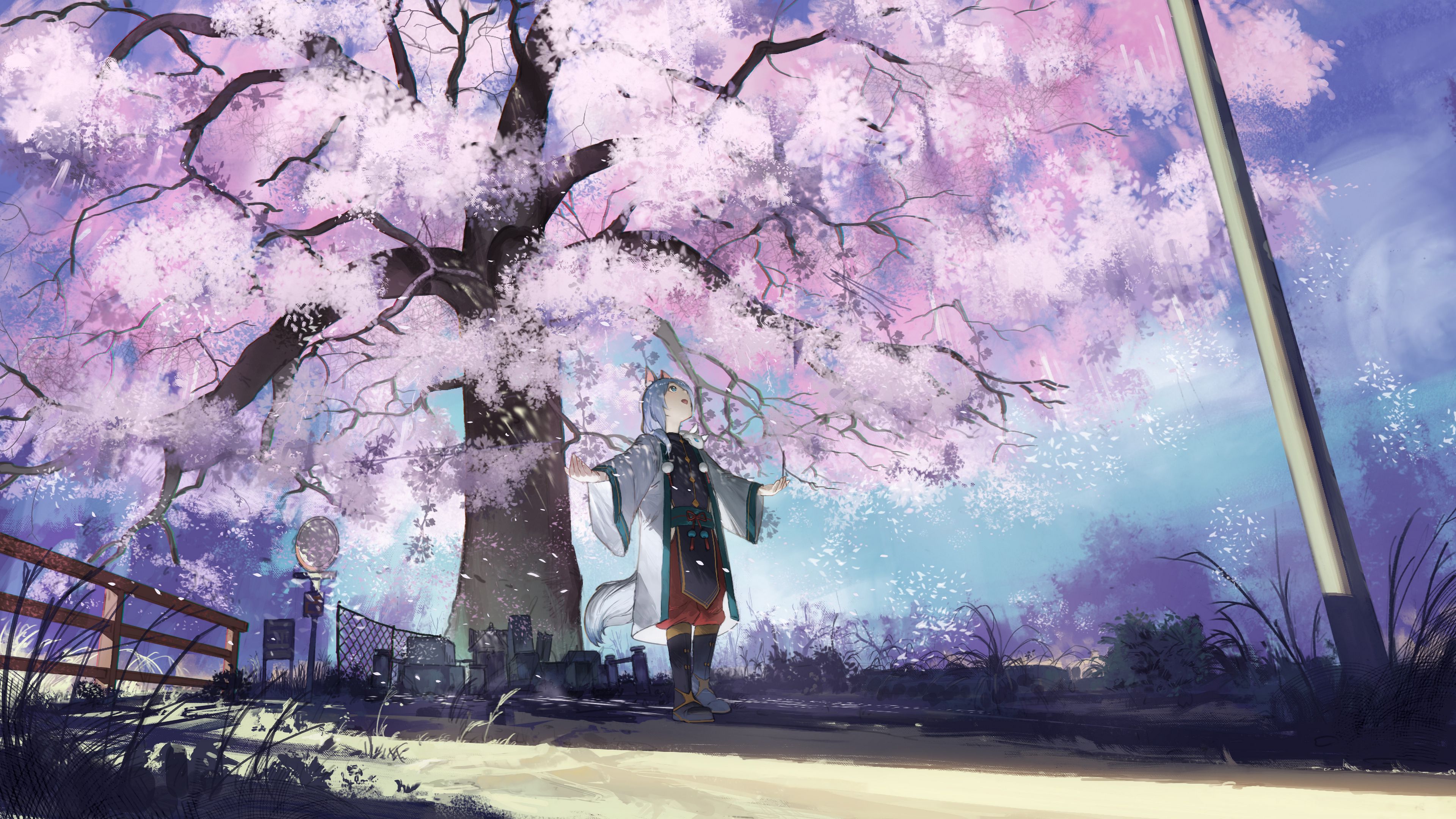 Wallpaper 4k girl, neko, sakura, petals, anime 4k Wallpaper