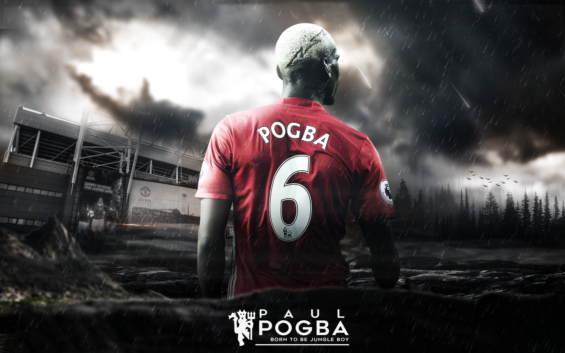 Paul Pogba HD, Manchester United F.C., HD Wallpaper