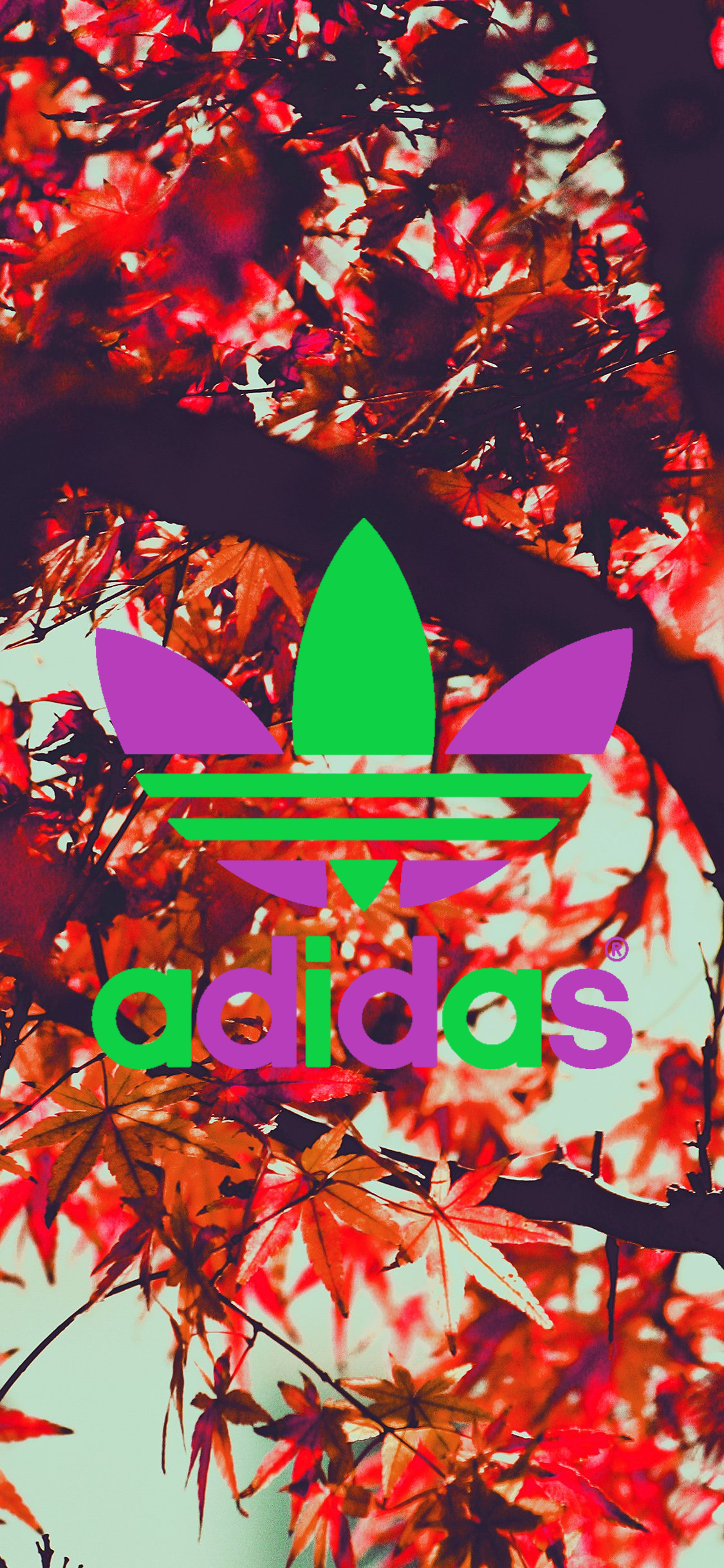 Adidas phone wallpaper 1080P, 2k, 4k Full HD Wallpaper, Background Free Download