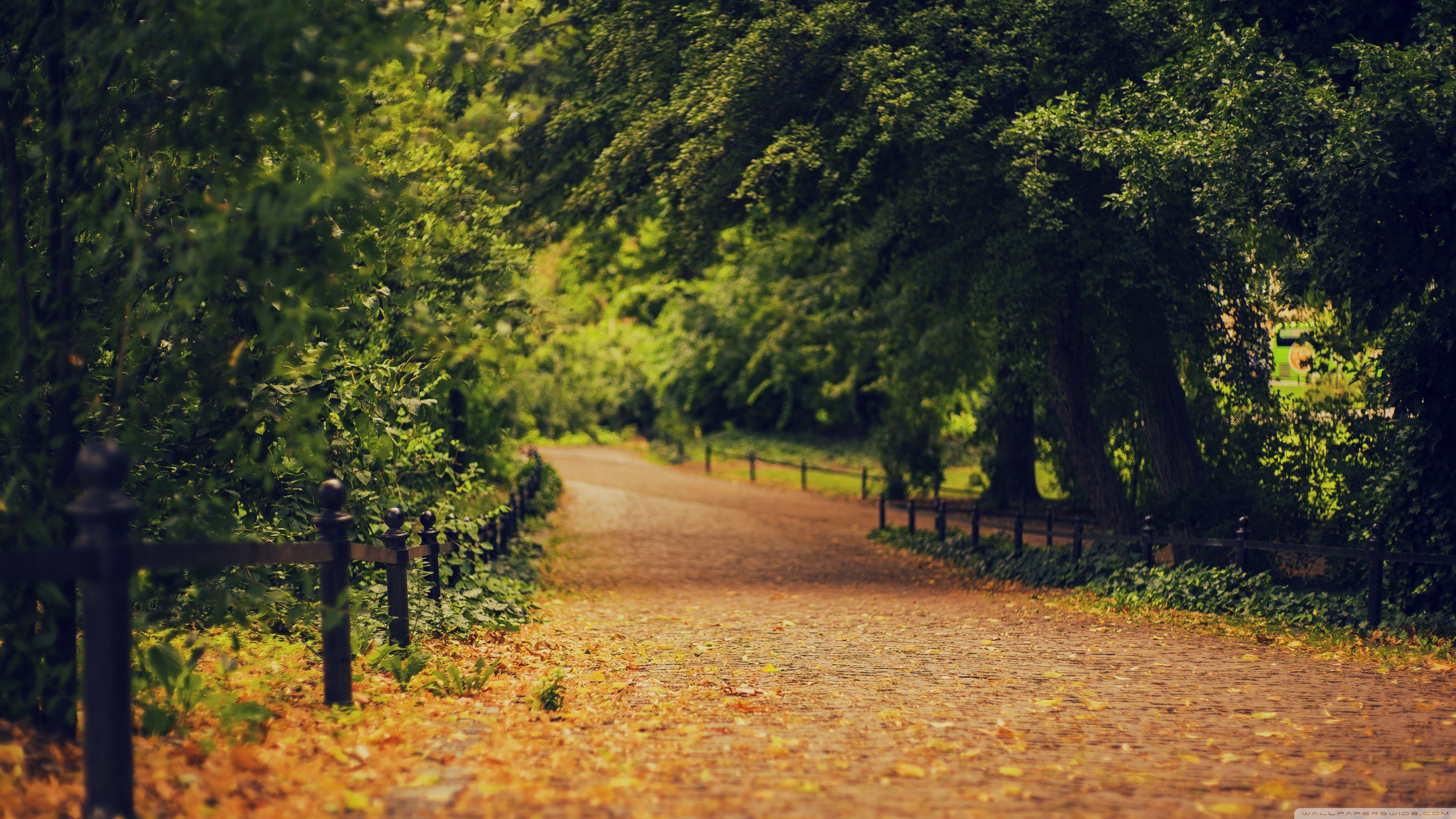 Beautiful Garden Ultra HD Desktop Background Wallpaper for 4K UHD TV, Widescreen & UltraWide Desktop & Laptop, Tablet