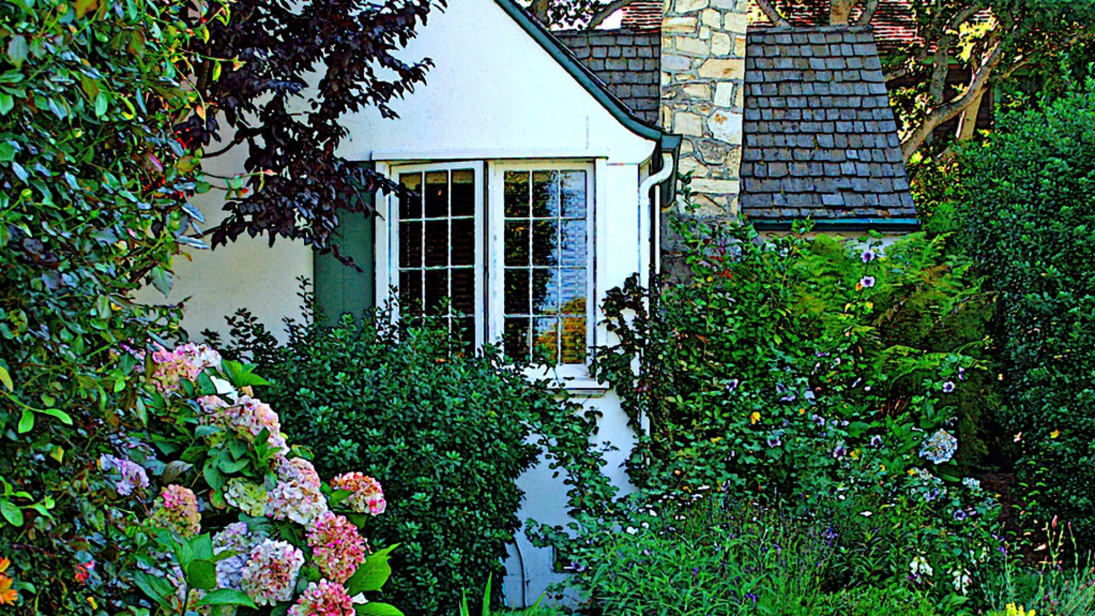 Beautiful Garden HD Wallpaper 4K Ultra HD