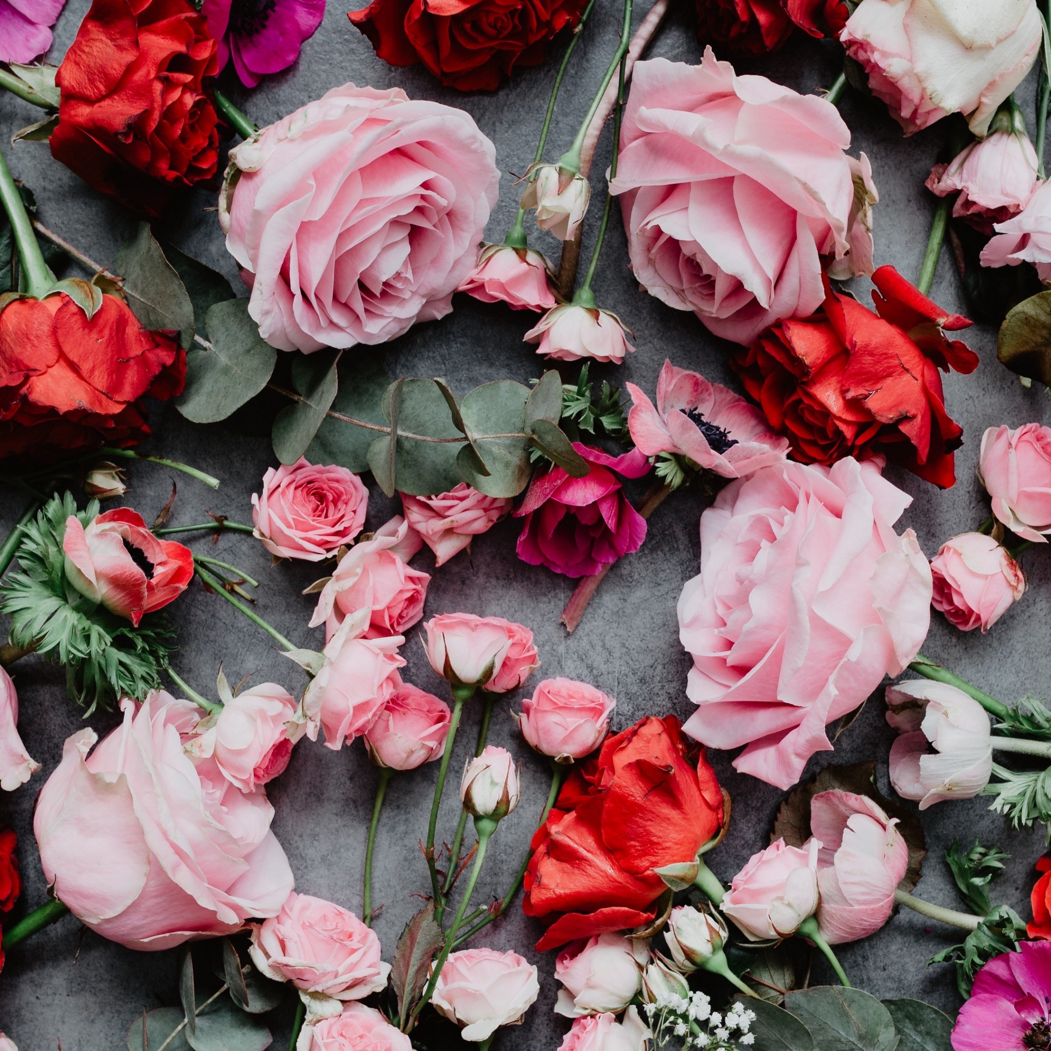 Wallpaper 4k flowers, roses, composition, red, pink 4k Wallpaper