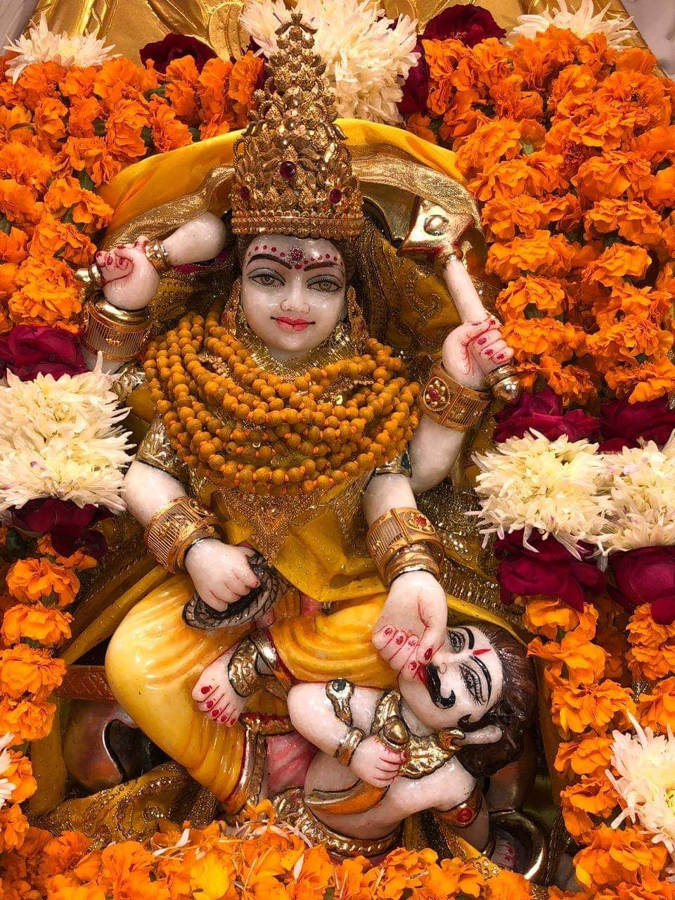 Maa Baglamukhi is protective, she acts out of necessity, for the love of the good, for liberation of those who depen. Durga goddess, Shakti goddess, Kali goddess