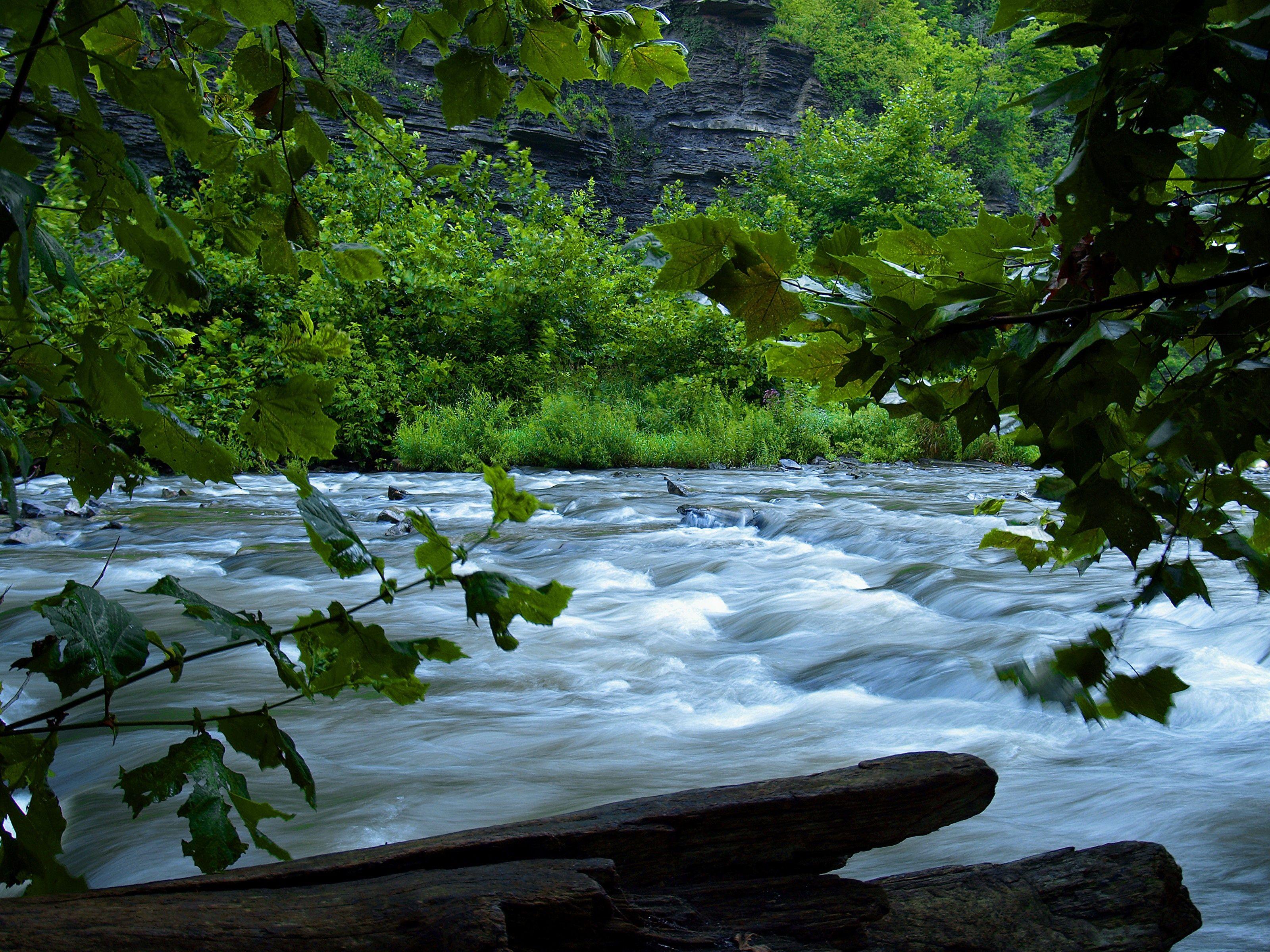 Rivers Majesty: Images That Capture Flow