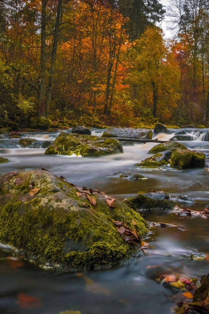 Flowing Autumn River. Landschaft