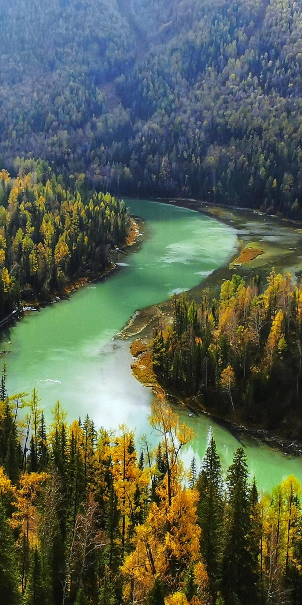 River flow, aerial view, green forest wallpaper. Aerial view, River, Aerial