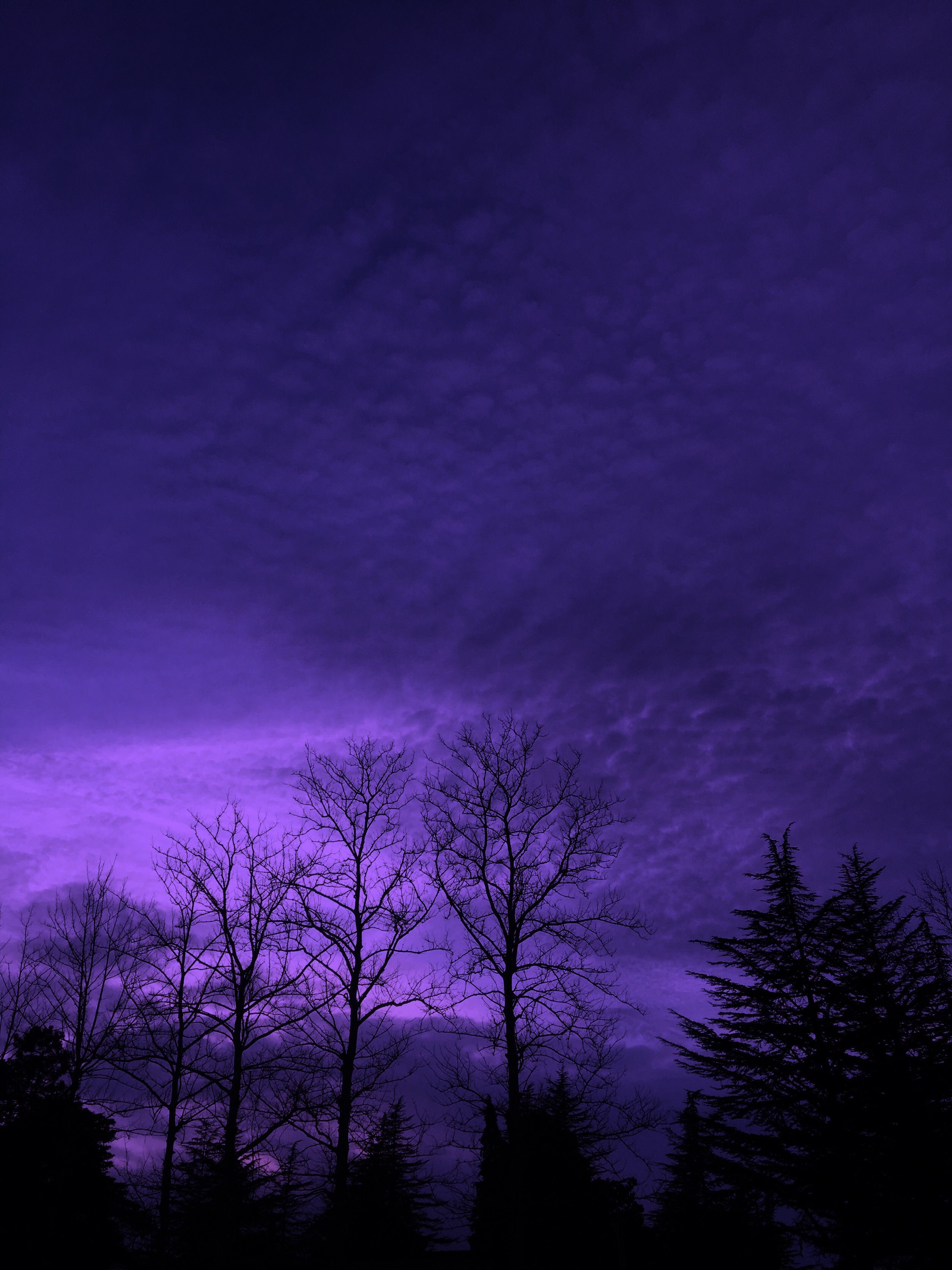Dark Purple Aesthetic Landscape Wallpaper D88. Purple aesthetic background, Dark purple wallpaper, Purple wallpaper