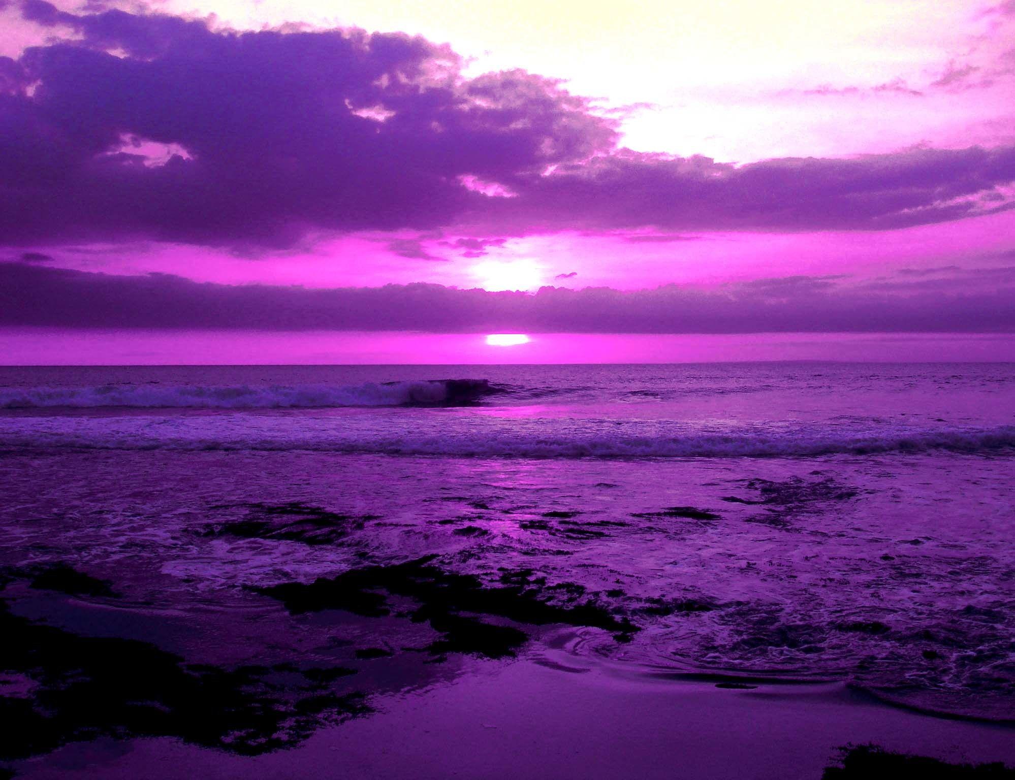 Purple Scenery Wallpaper