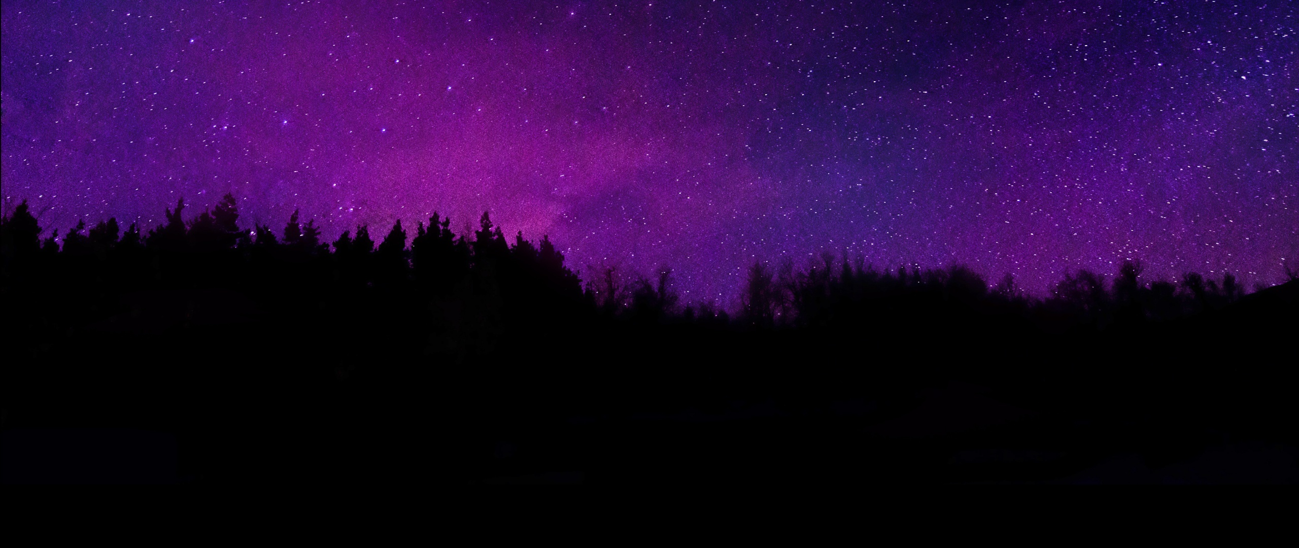 Trees Wallpaper 4K, Silhouette, Purple sky