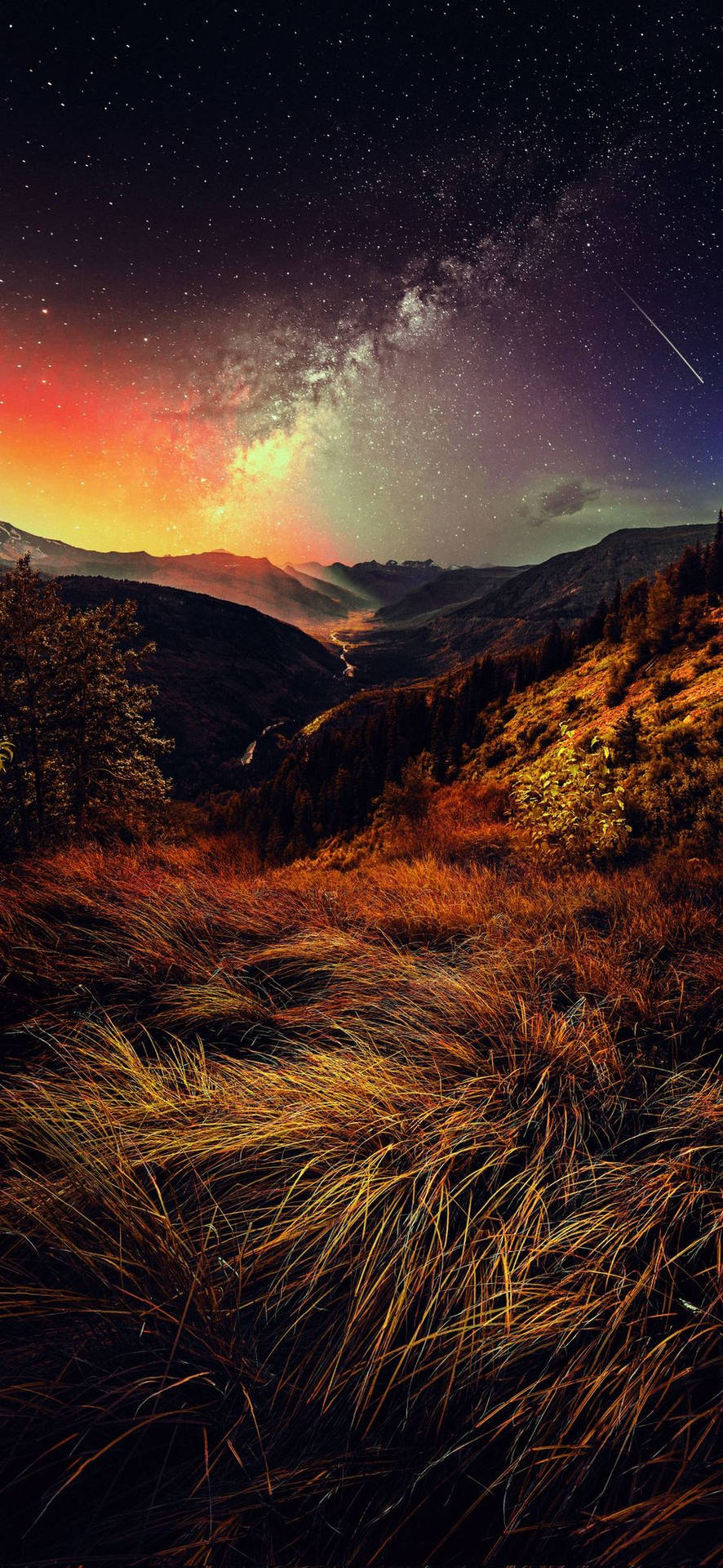 Download iPhone 11 Pro Max 4K Savanna Night Wallpaper