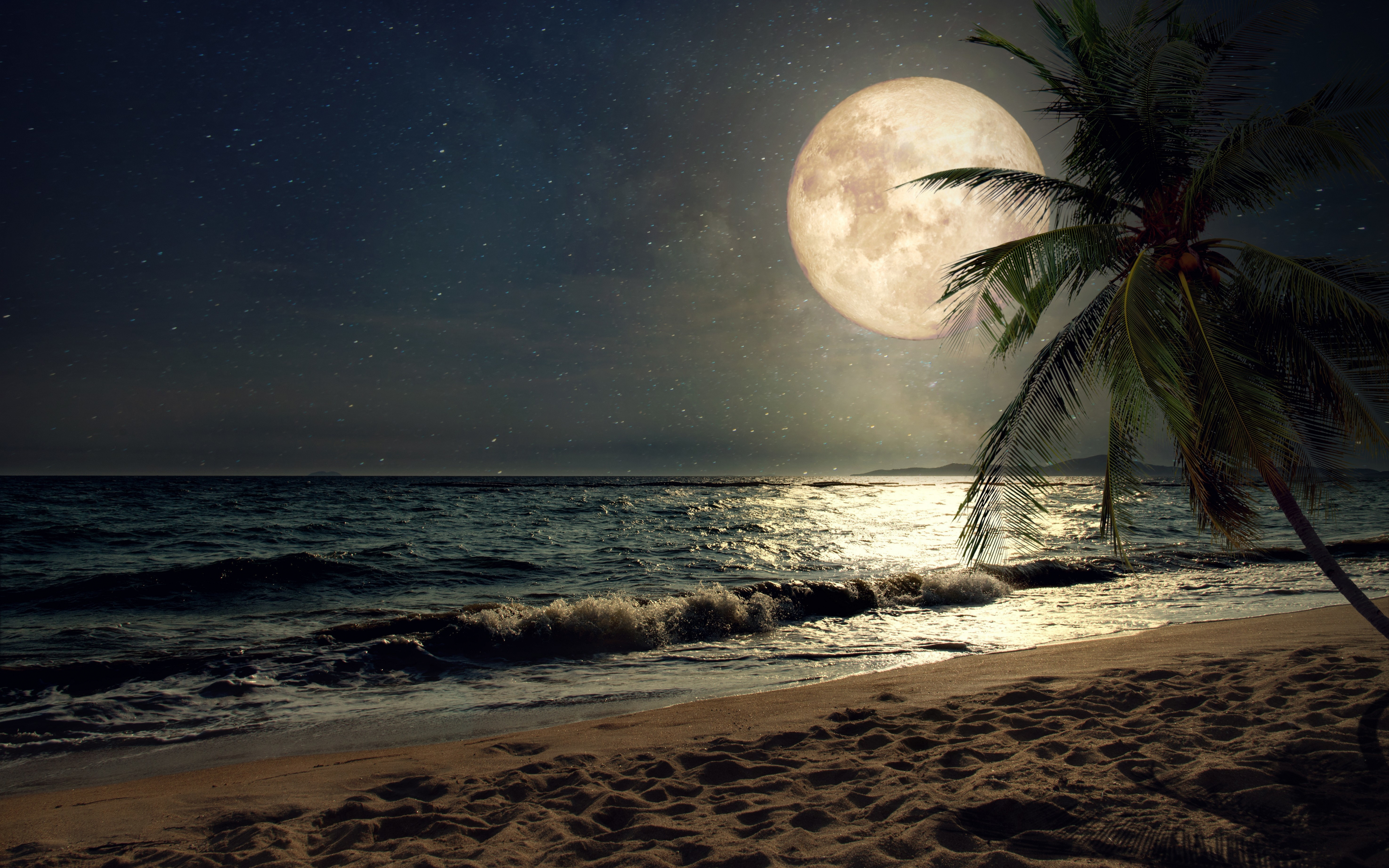 Download wallpaper 3840x2400 beach, sand, night's moon, palm tree, nature 4k wallaper, 4k ultra HD 16:10 wallpaper, 3840x2400 HD background, 8489