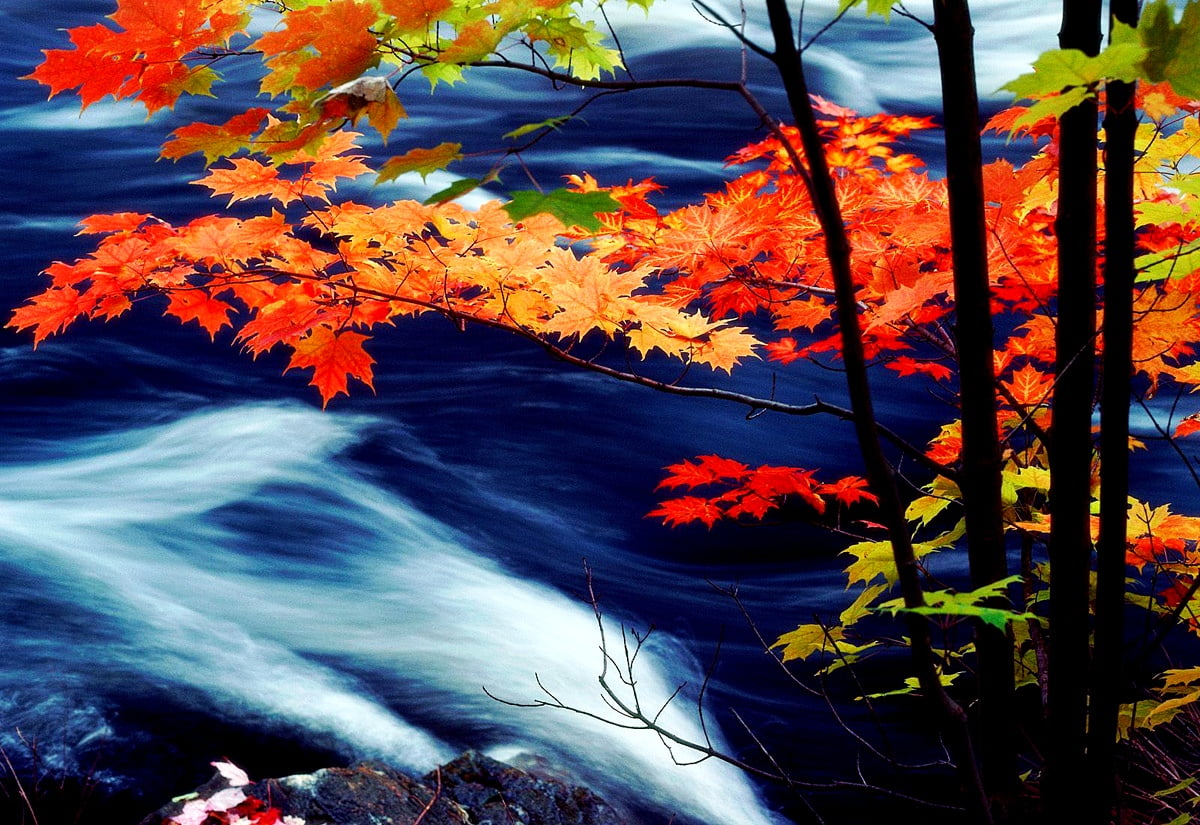 Nice Autumn Landscape, Nature, Autumn background. Download Best Free photo