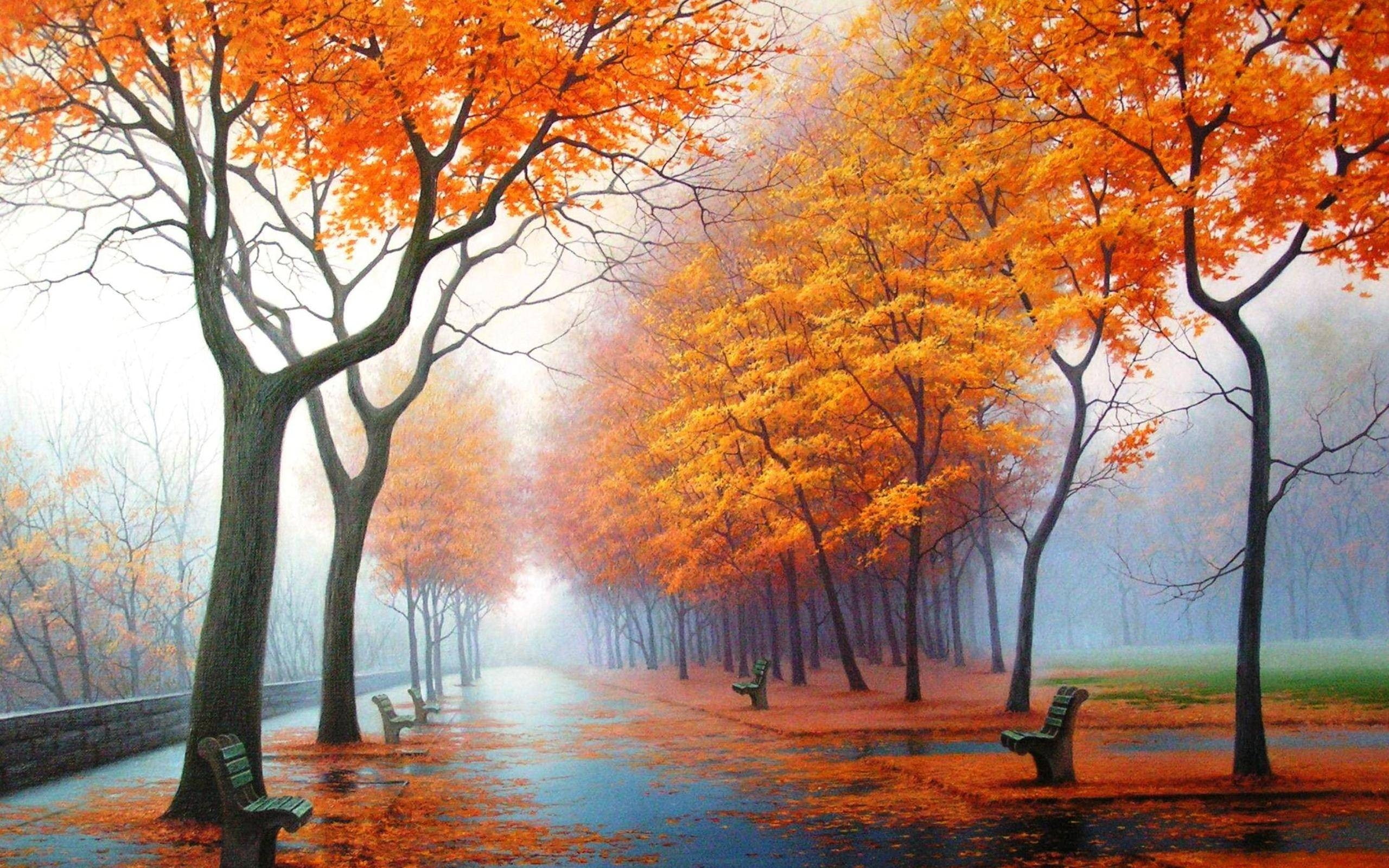 Wallpaper / hd, art, seasons, season, rain, bench, Landscapes, parks, 2K, nature, autumn, fog, orange, trees, leaves, water, x free download