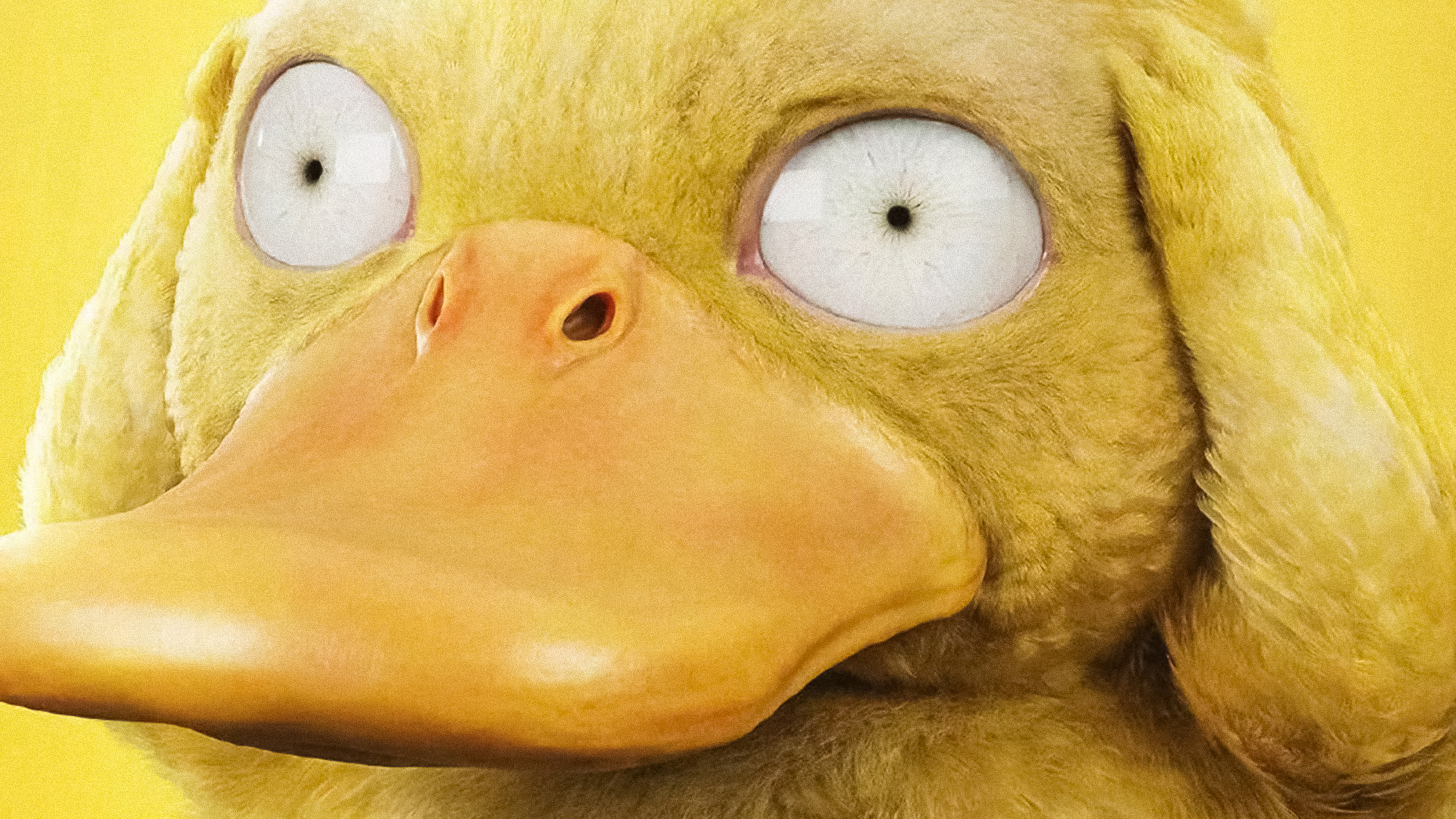 Detective Pikachu, Psyduck, 8K Gallery HD Wallpaper