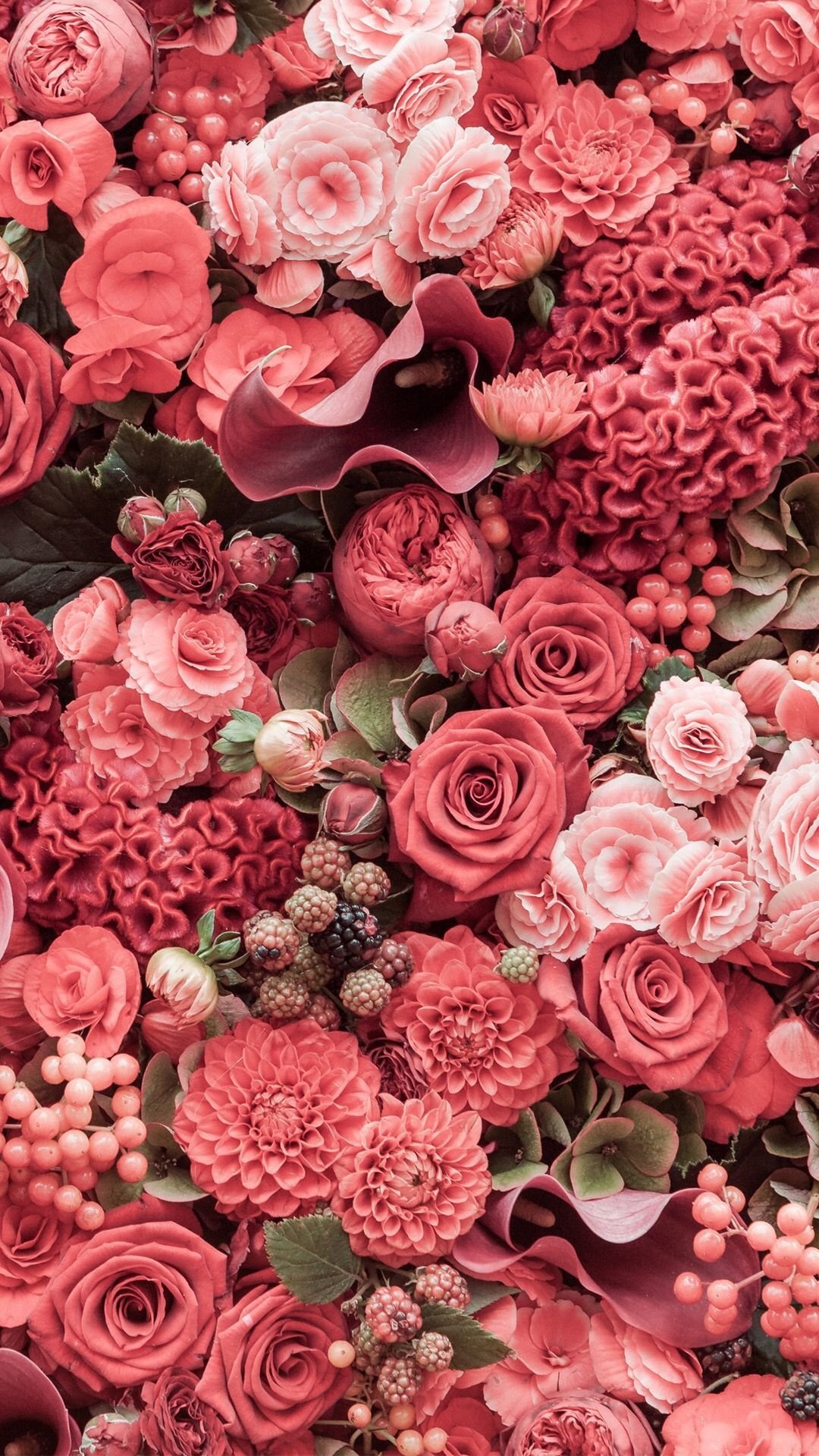 Coral flowers aesthetic Wallpaper Download