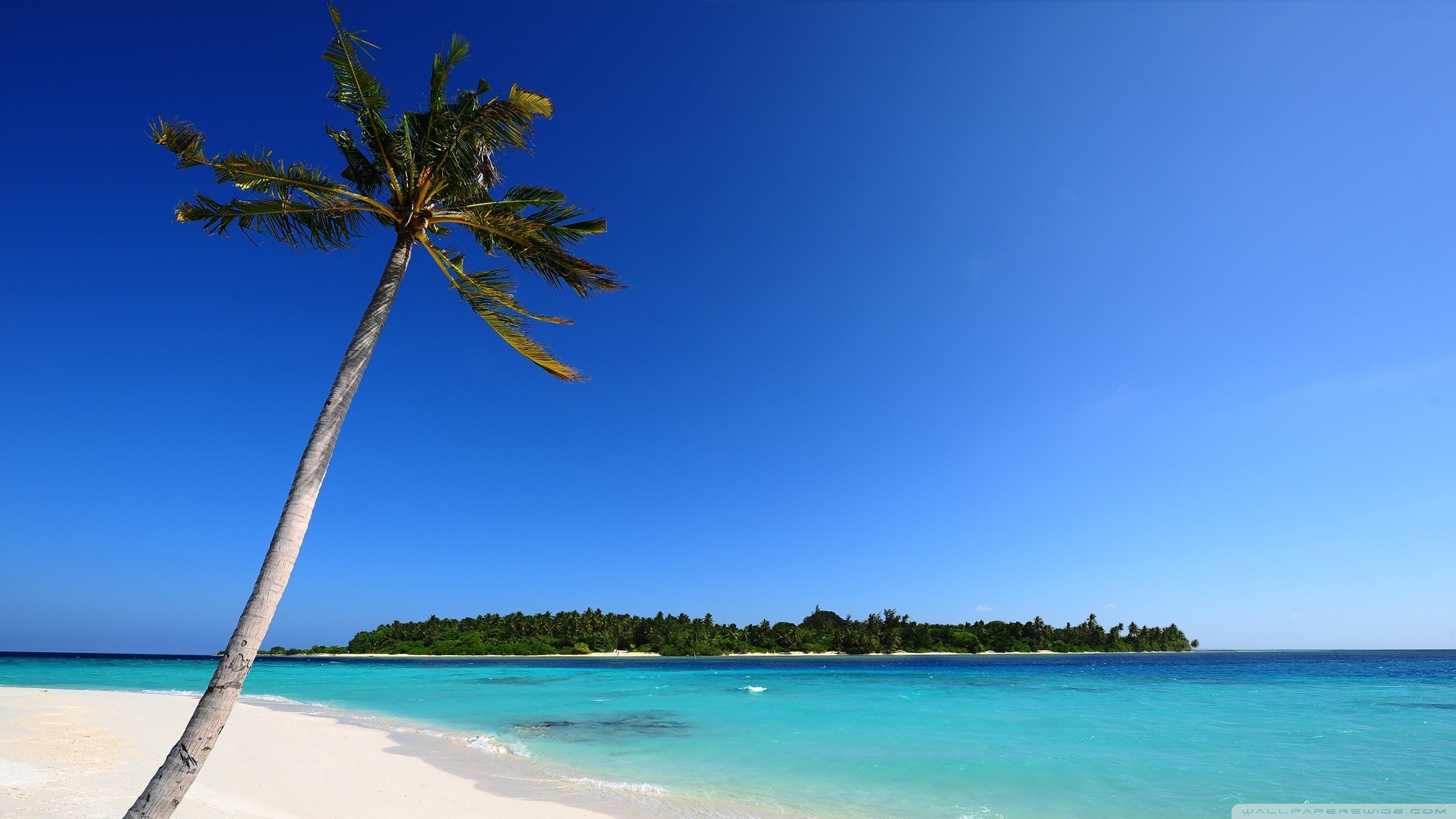 A Corner Of The World Ultra HD Desktop Background Wallpaper for 4K UHD TV, Tablet