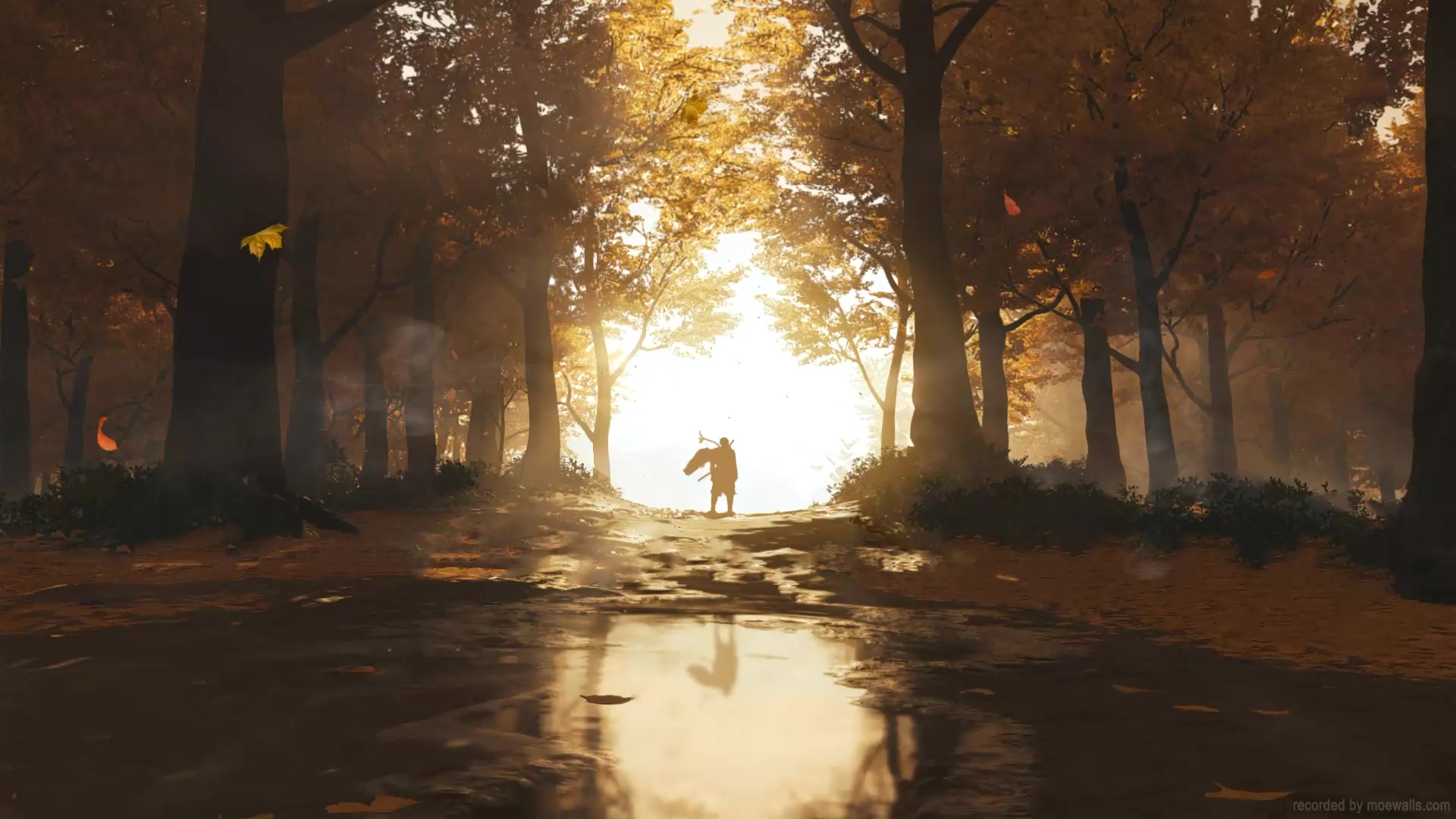 Samurai Autumn Forest Ghost Of Tsushima