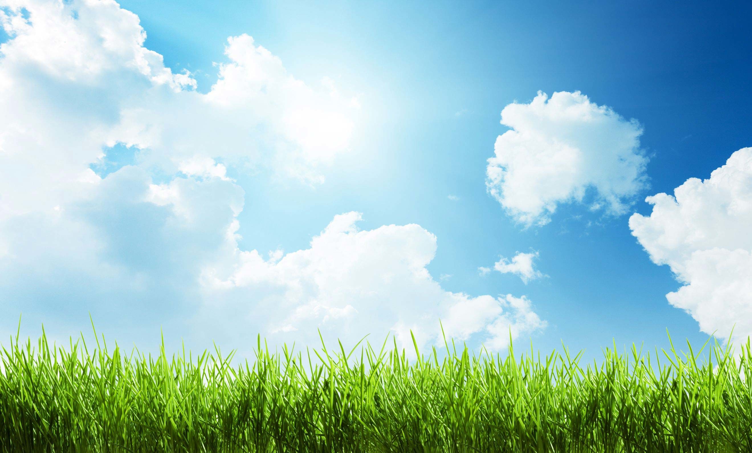 Sunny Sky Wallpaper