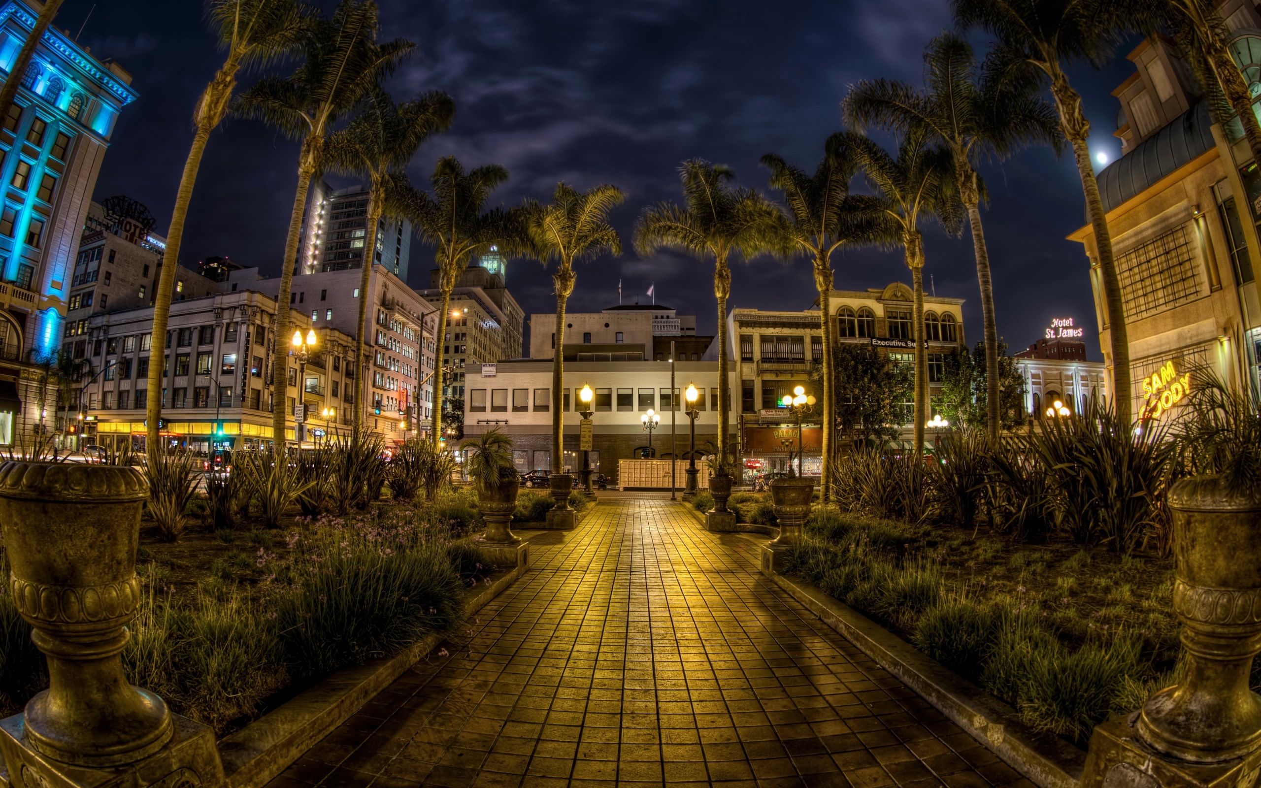 Wallpaper 4k usa, san diego, california, trees, palms, night, pavement, hdr 4k Wallpaper