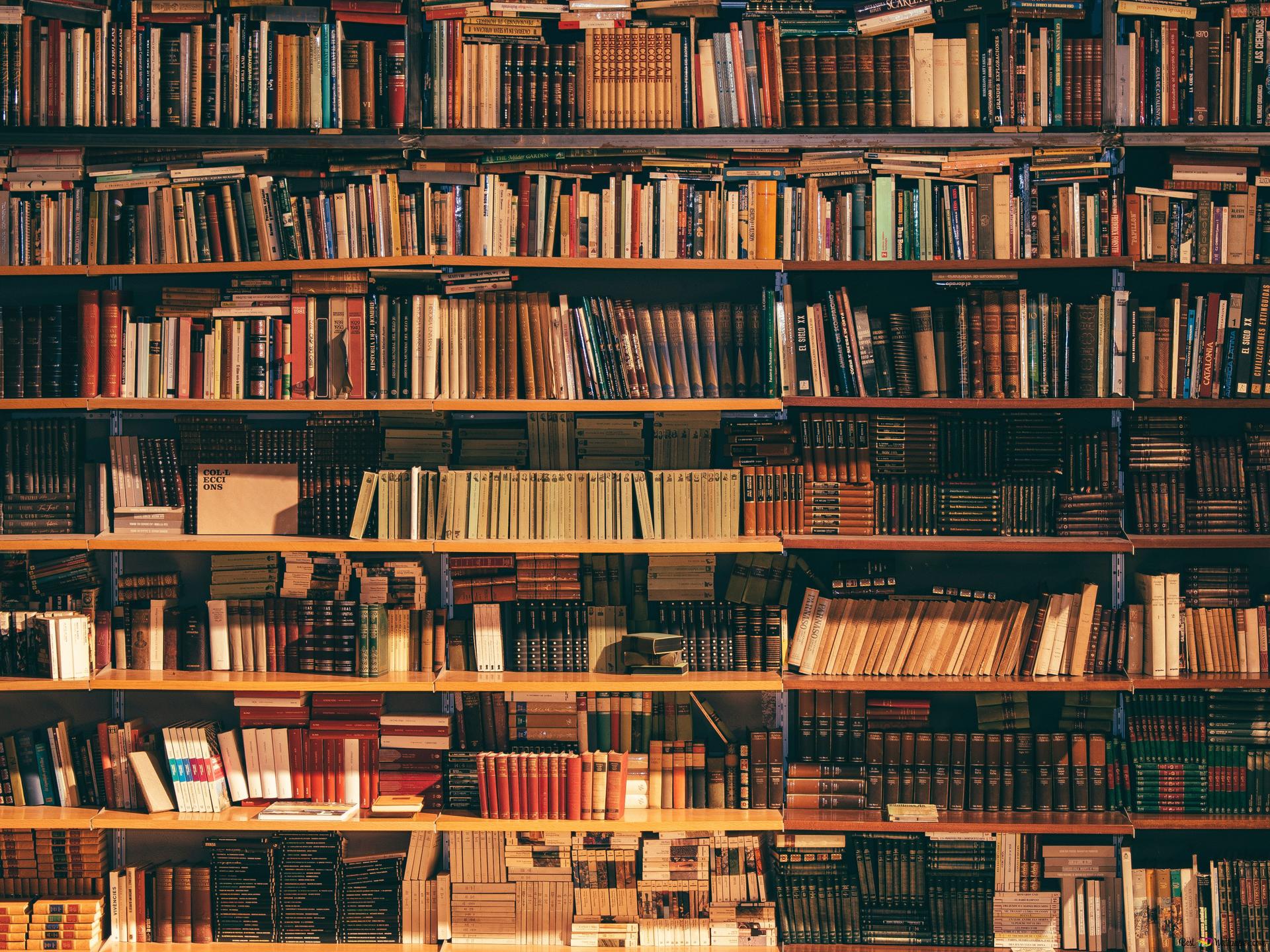 A peaceful library with a variety of books on the shelves 4K wallpaper download