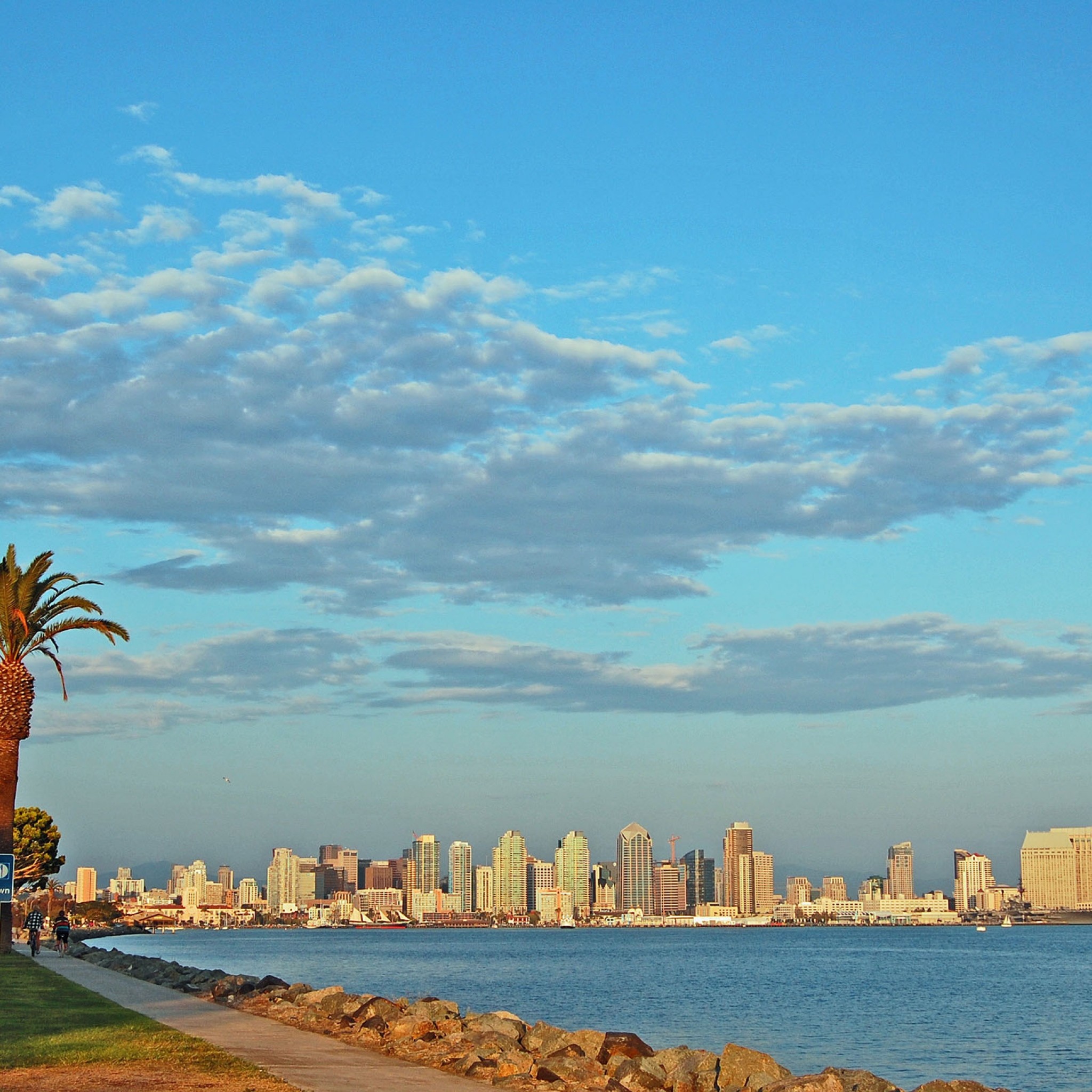 San Diego Beach Picture Wallpaper