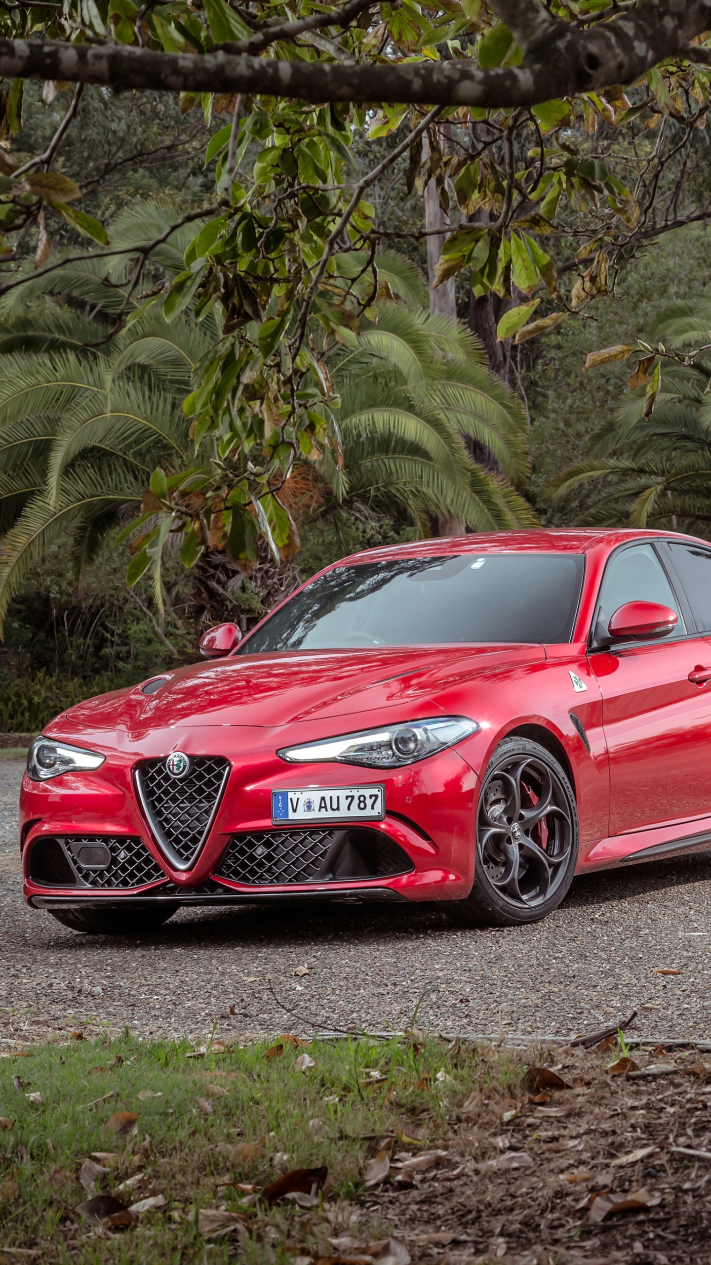 Wallpaper / Vehicles Alfa Romeo Giulia Phone Wallpaper, Vehicle, Alfa Romeo, Car, 1440x2560 free download
