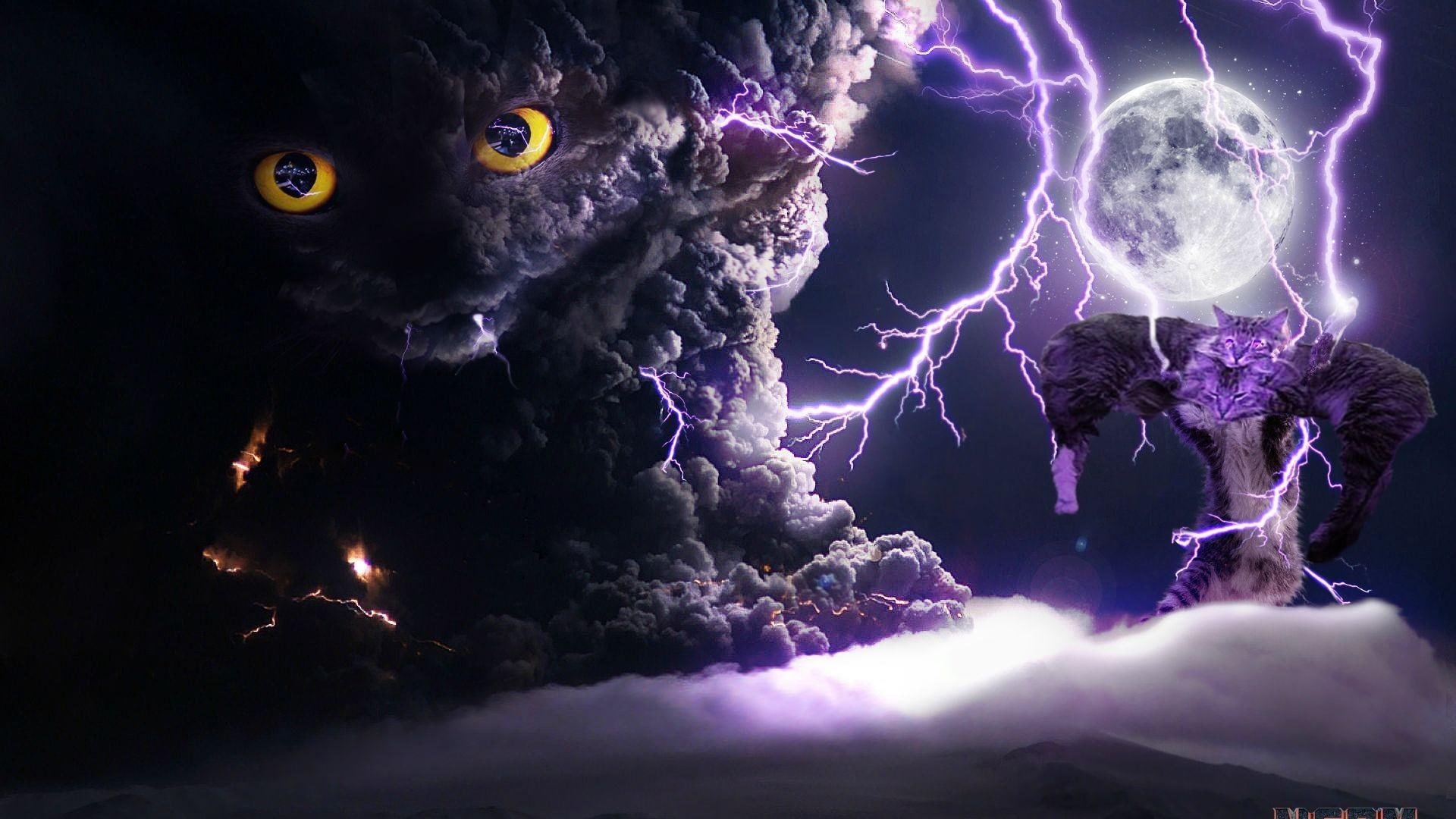 Lightning Cat Wallpapers - Wallpaper Cave