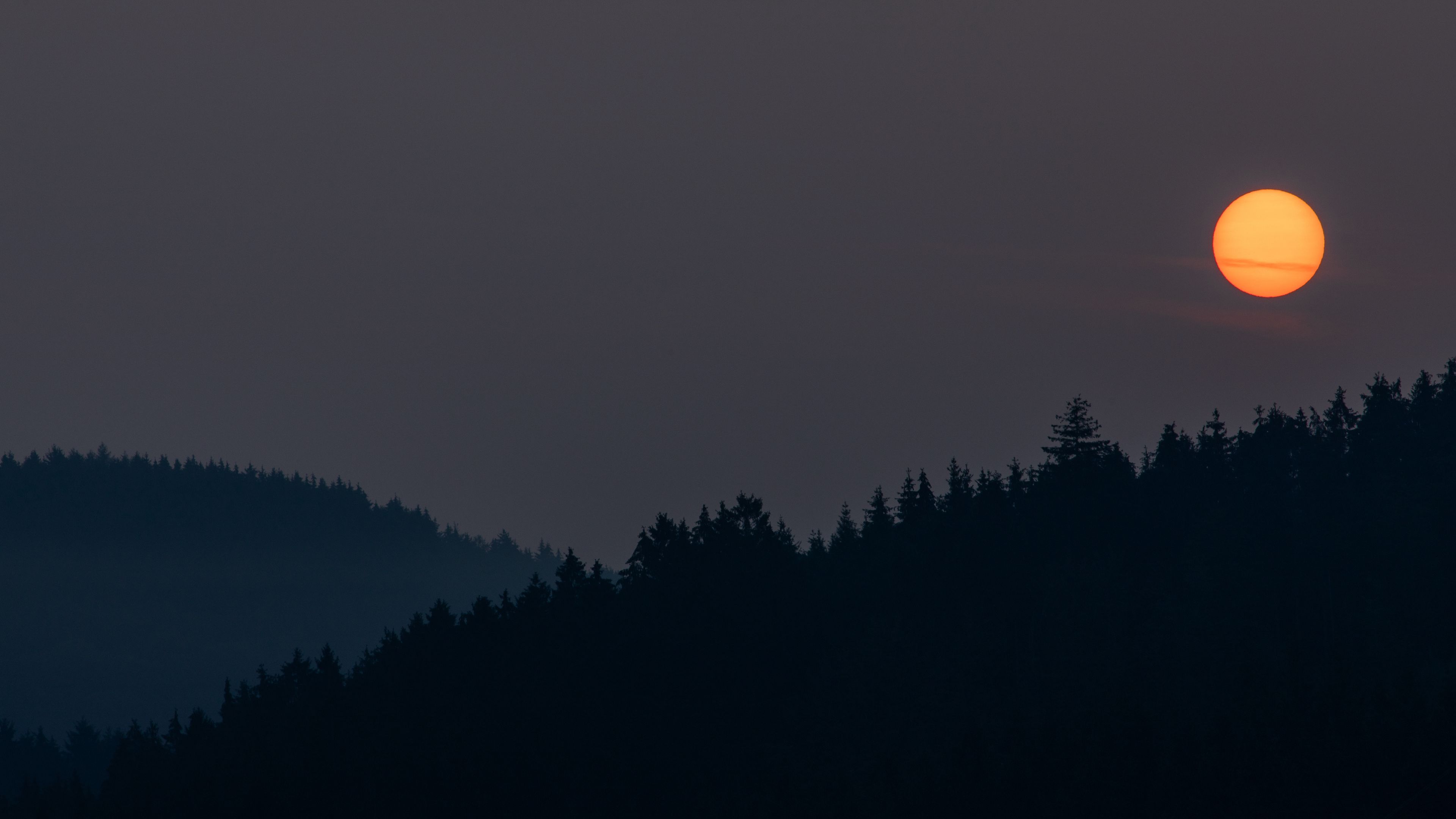Wallpaper / night, moon, forest, dark, landscape, 4k free download