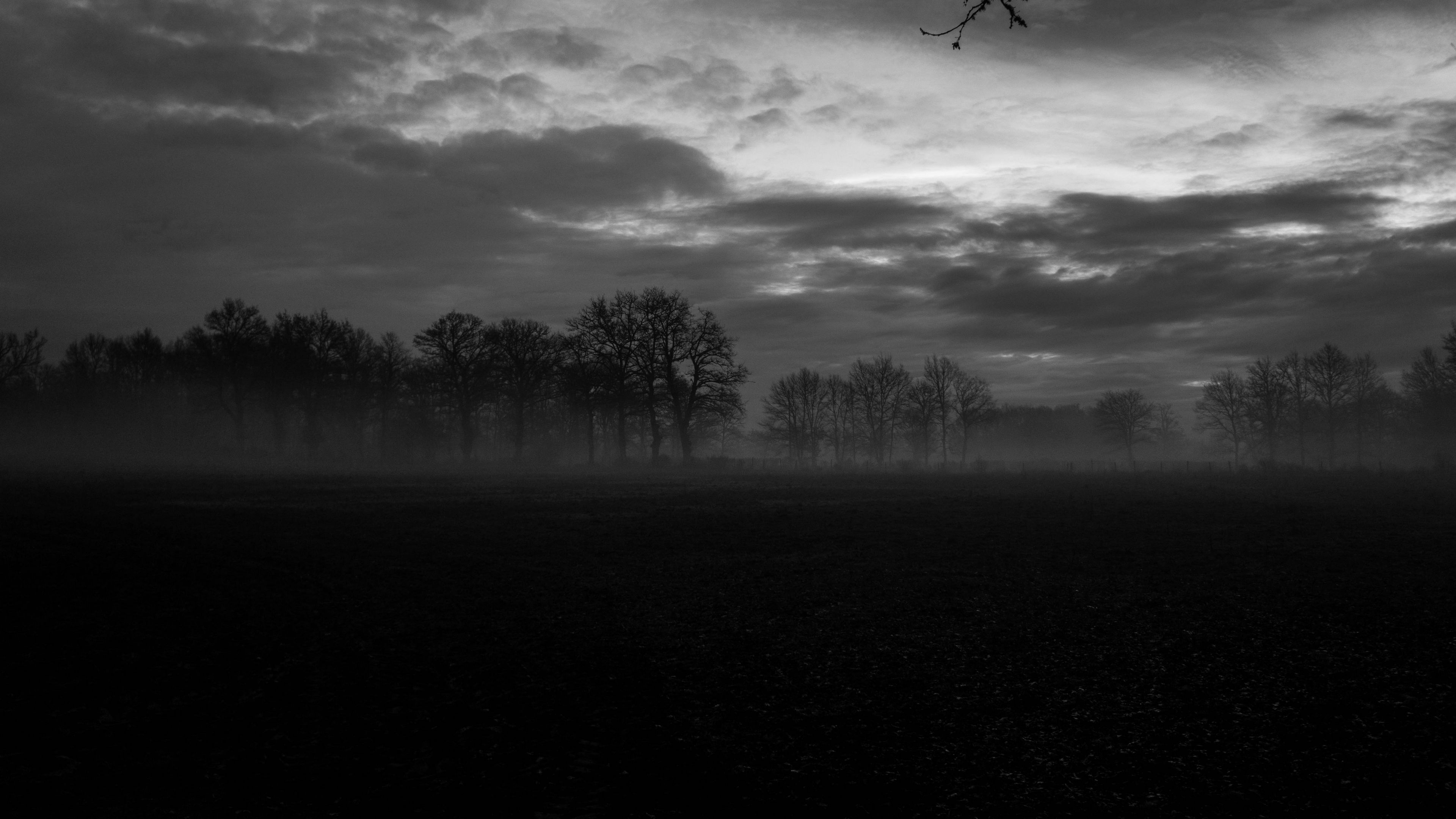 Download wallpaper 3840x2160 fog, trees, bw, landscape, dark 4k uhd 16:9 HD background