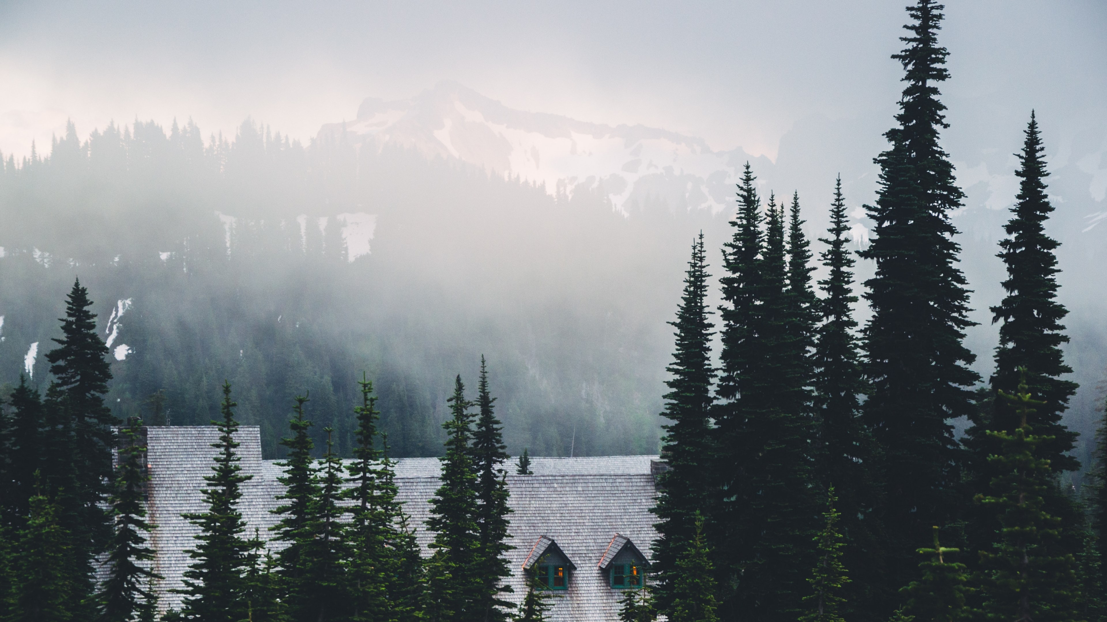 Wallpaper / moody mountain guests 4k wallpaper free download