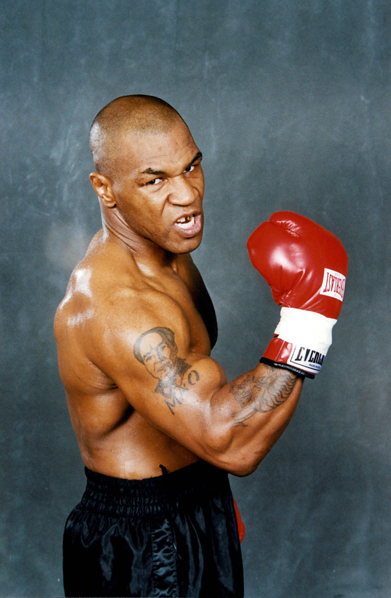 Portrait Of Mike Tyson 4K Wallpaper