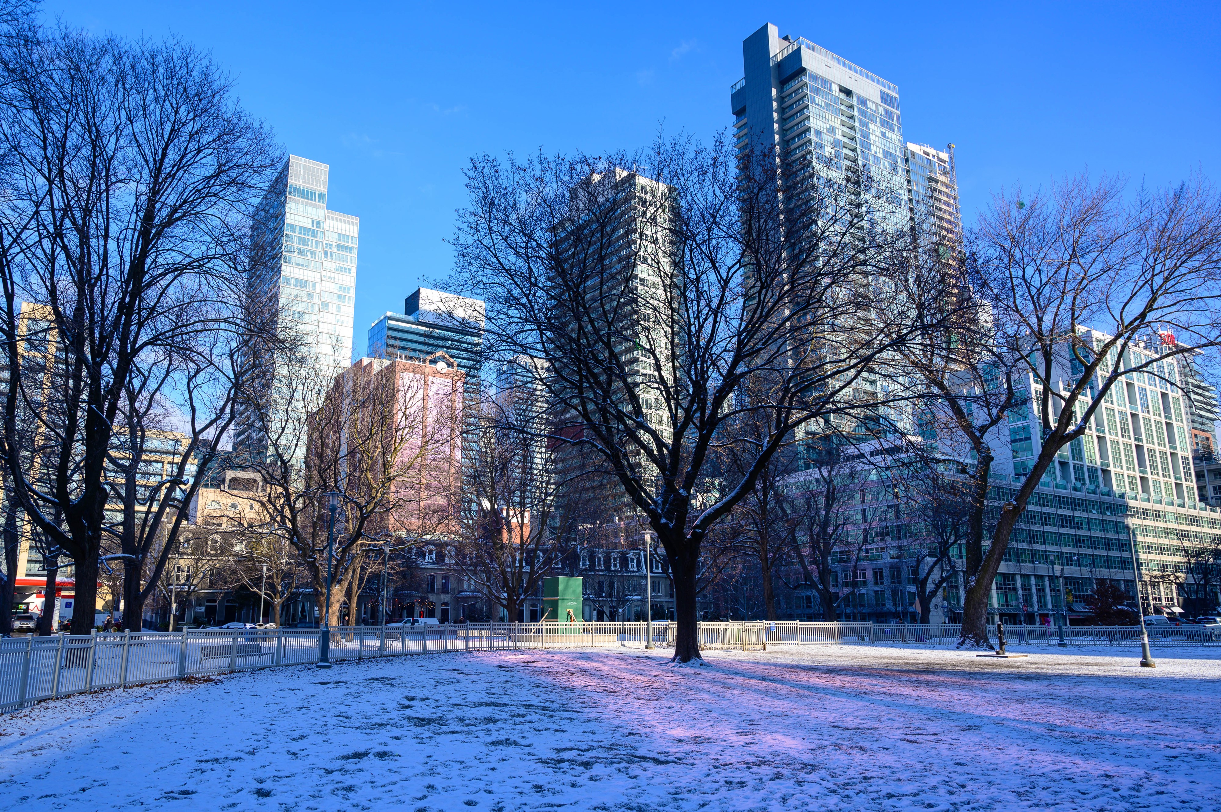 4K, Canada, Houses, Winter, Toronto, Snow, Trees Gallery HD Wallpaper