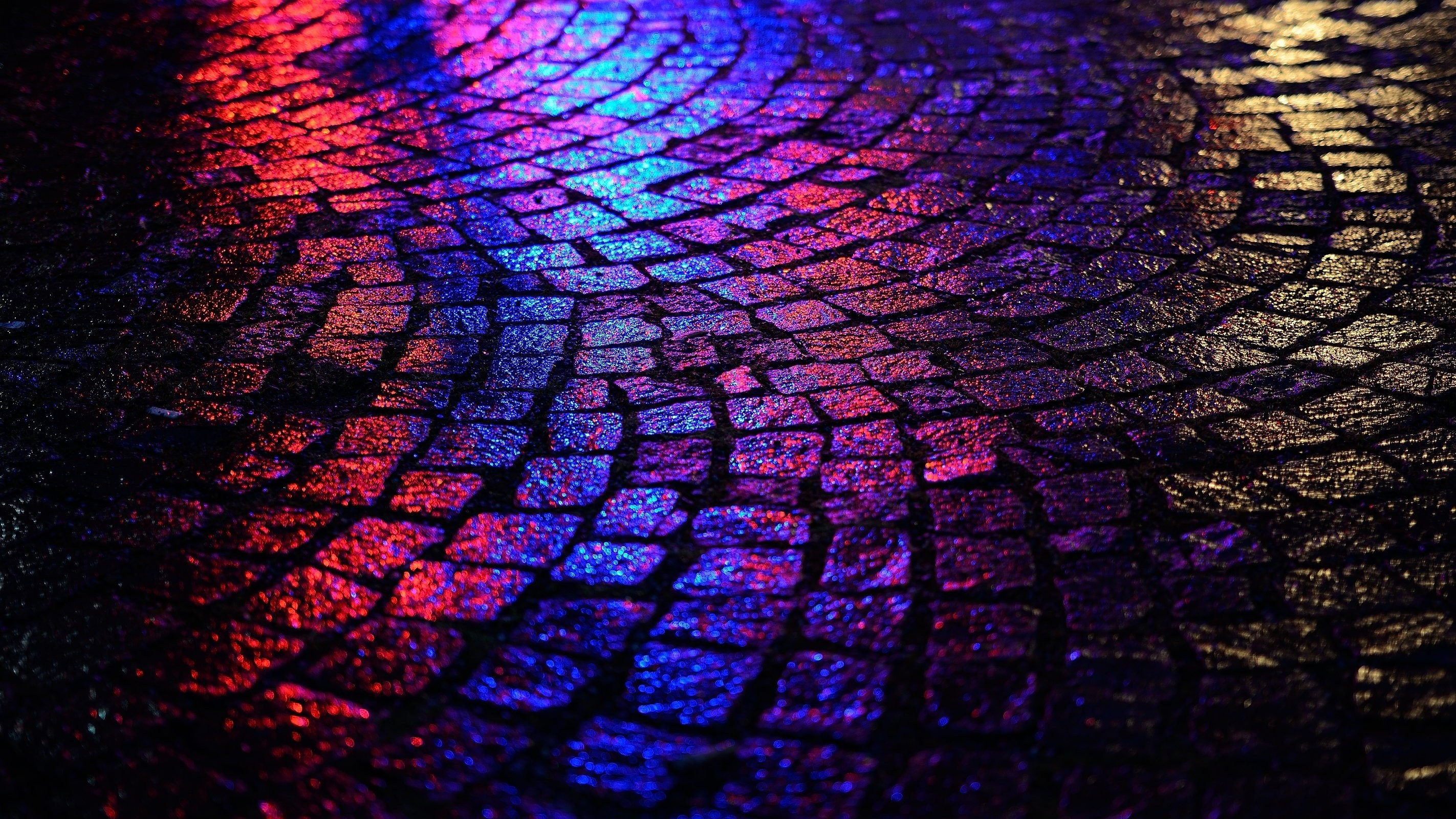 Black And Purple Wallpaper