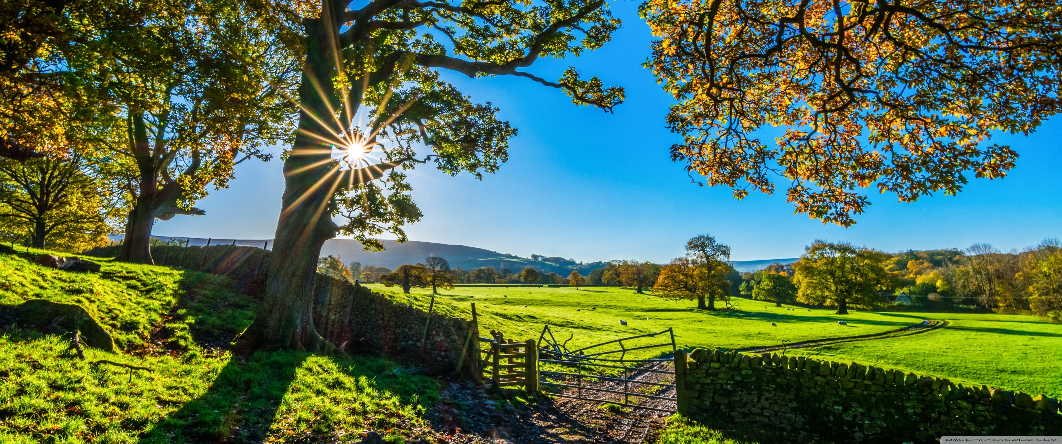 Beautiful England Nature Countryside Scenery Ultra HD Desktop Background Wallpaper for 4K UHD TV, Widescreen & UltraWide Desktop & Laptop, Tablet