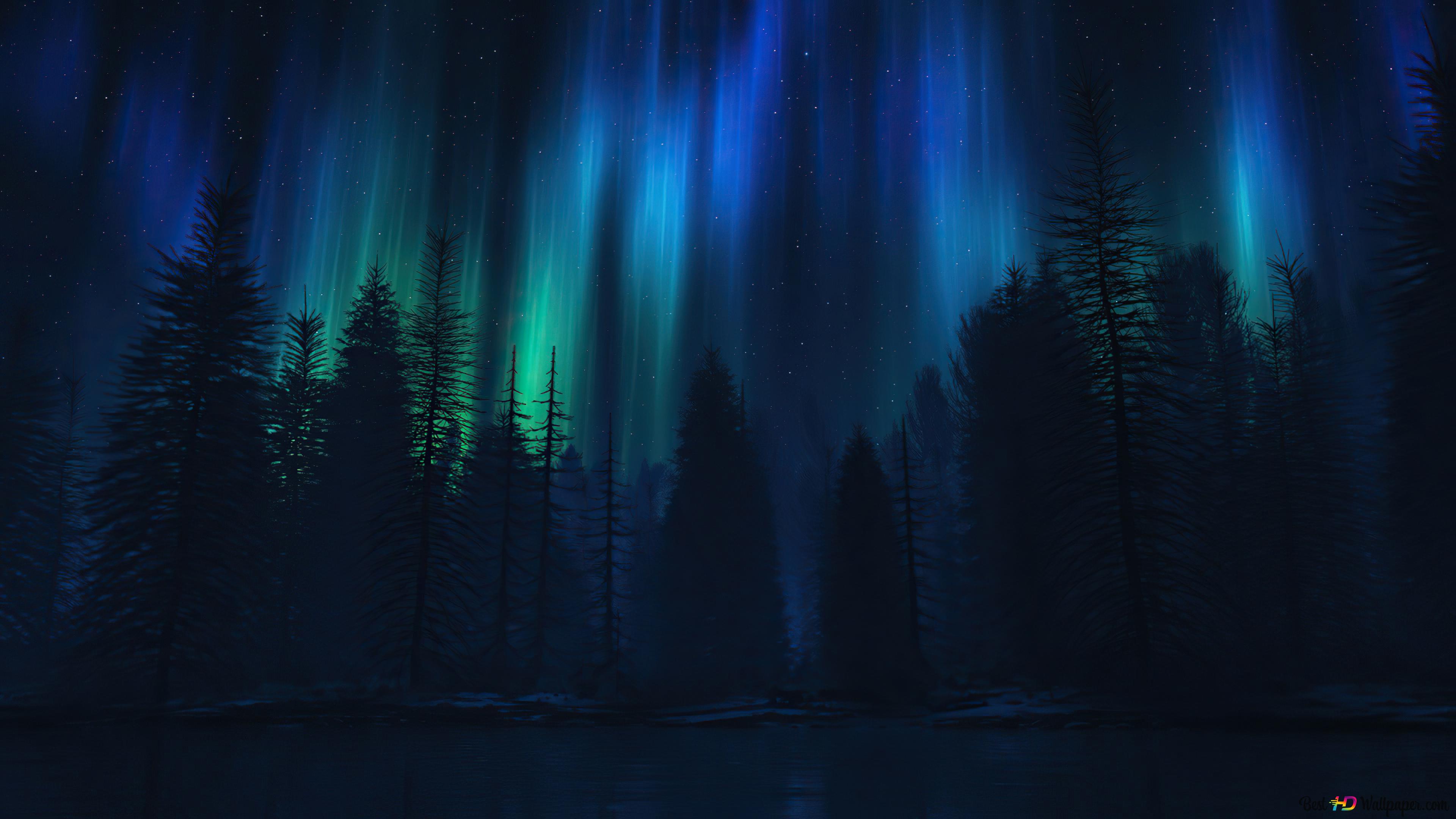 Nature Digital dark forest 4K wallpaper download