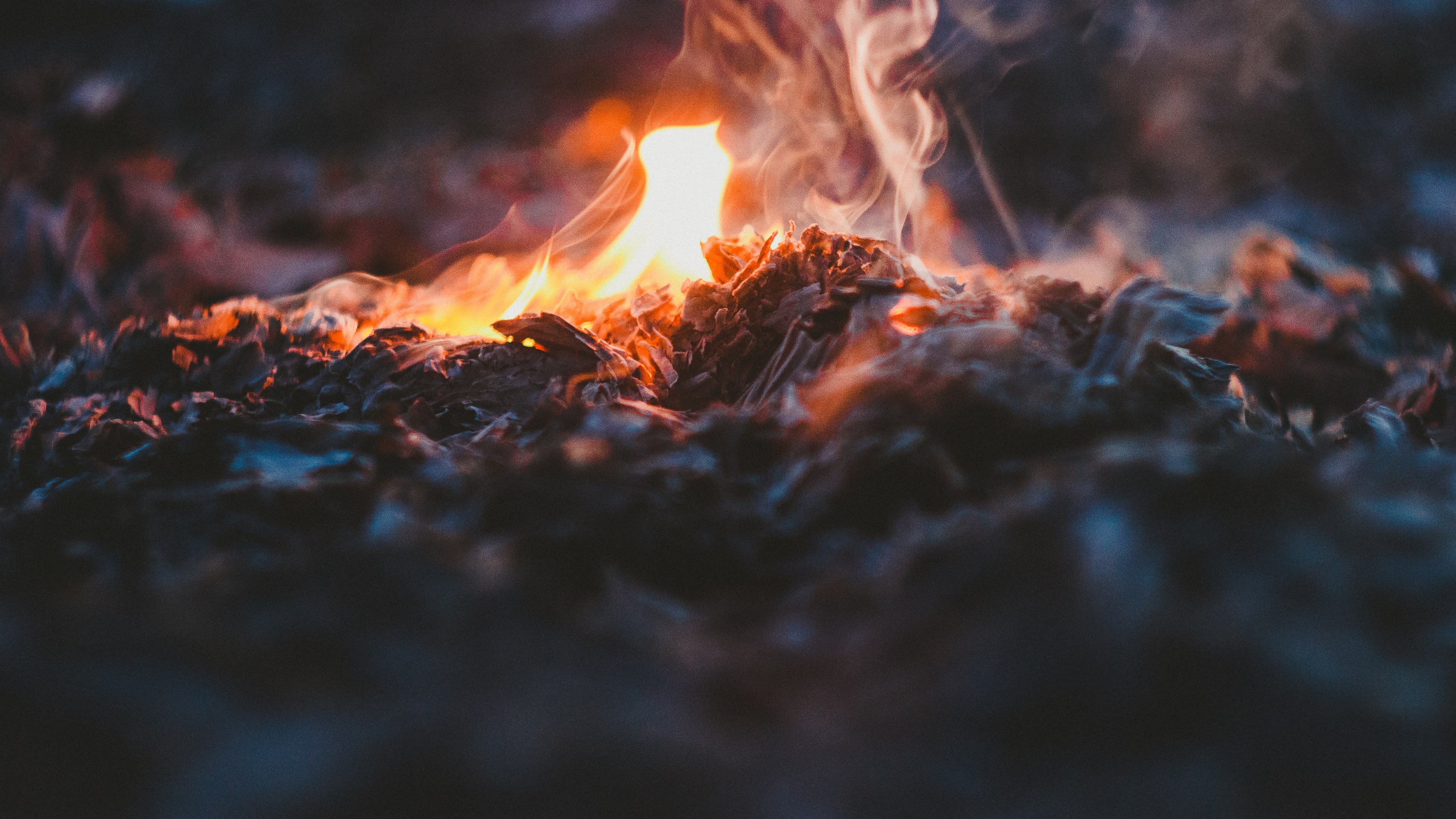 Wallpaper / campfire bonfire and fire HD 4k wallpaper free download