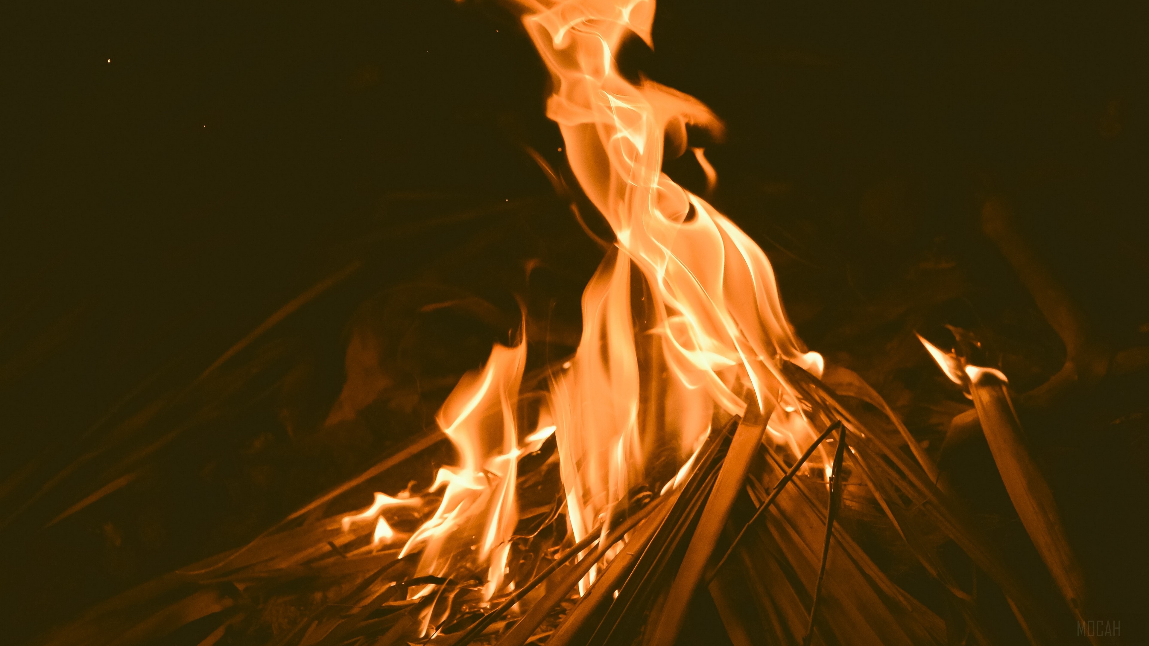 bonfire, fire, flame, dark 4k Gallery HD Wallpaper