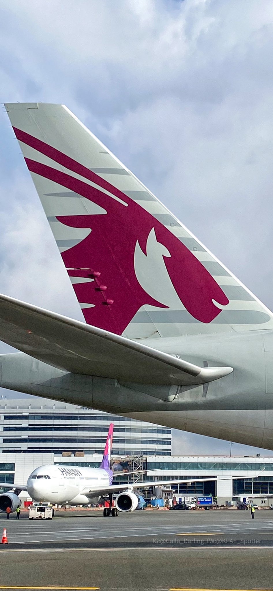 Katie Zera FOR FUN! Did you know the creature on the #QatarAirways plane is an Oryx? Well, in case your phone needs an Oryx, here ya go