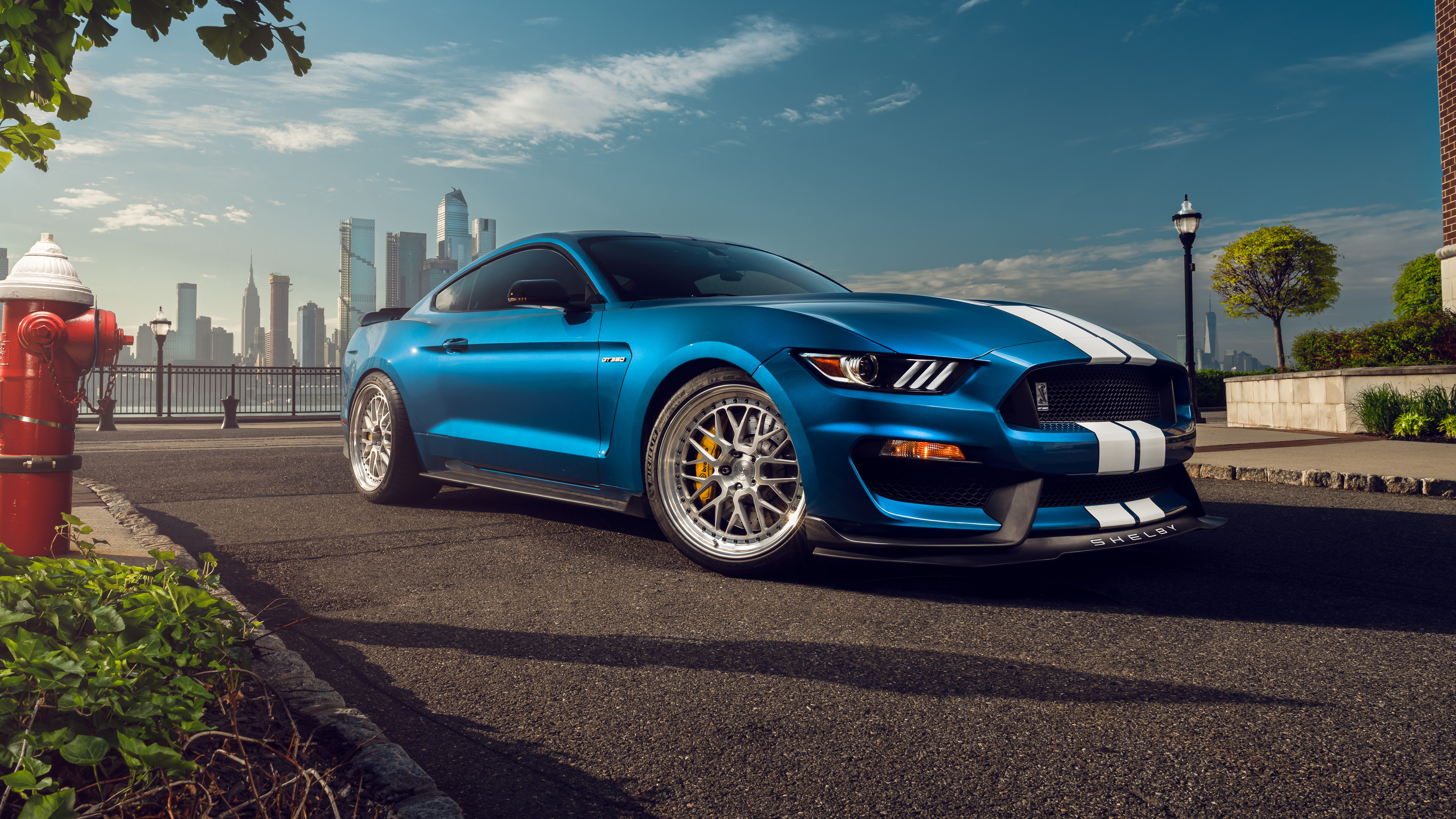 Ford Shelby Mustang GT350 8K Wallpaper Car Wallpaper