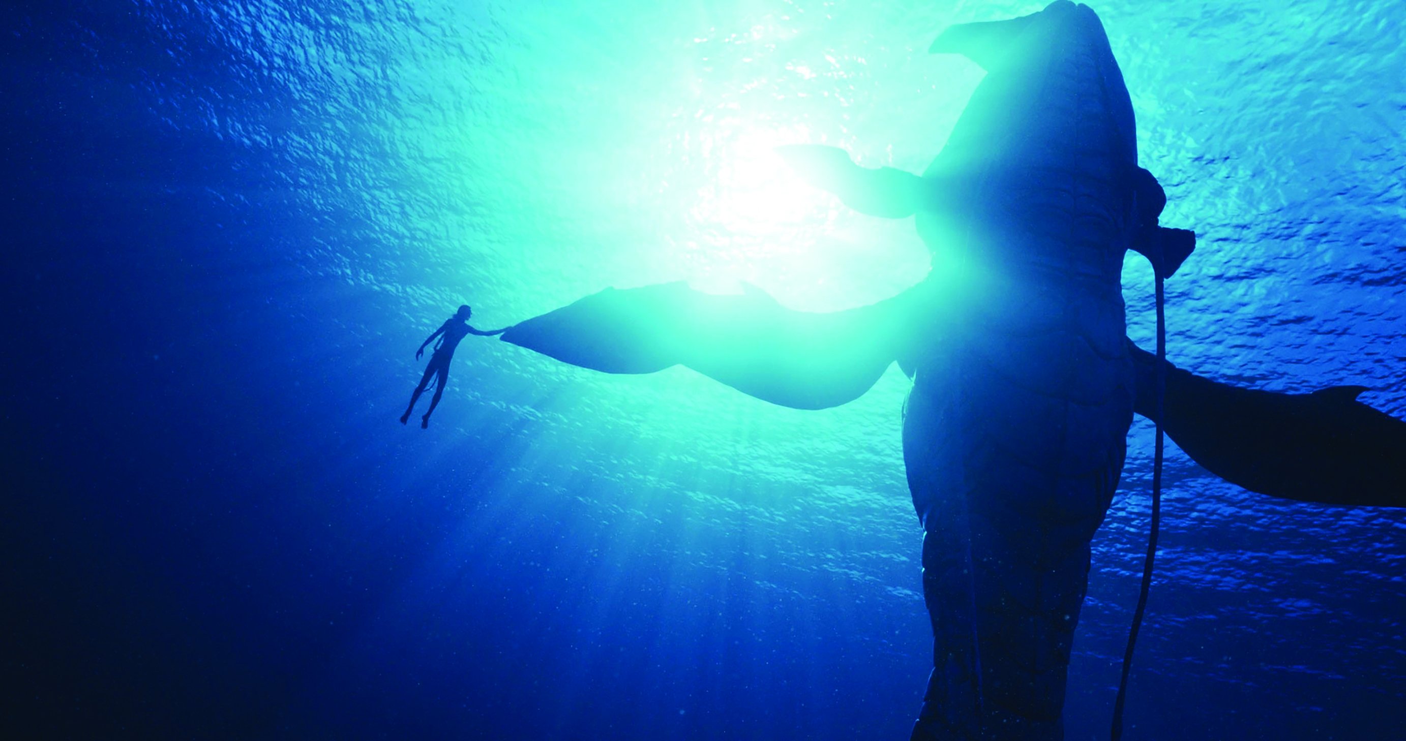 Total Immersion For Avatar: The Way Of Water American Society Of Cinematographers (en US)