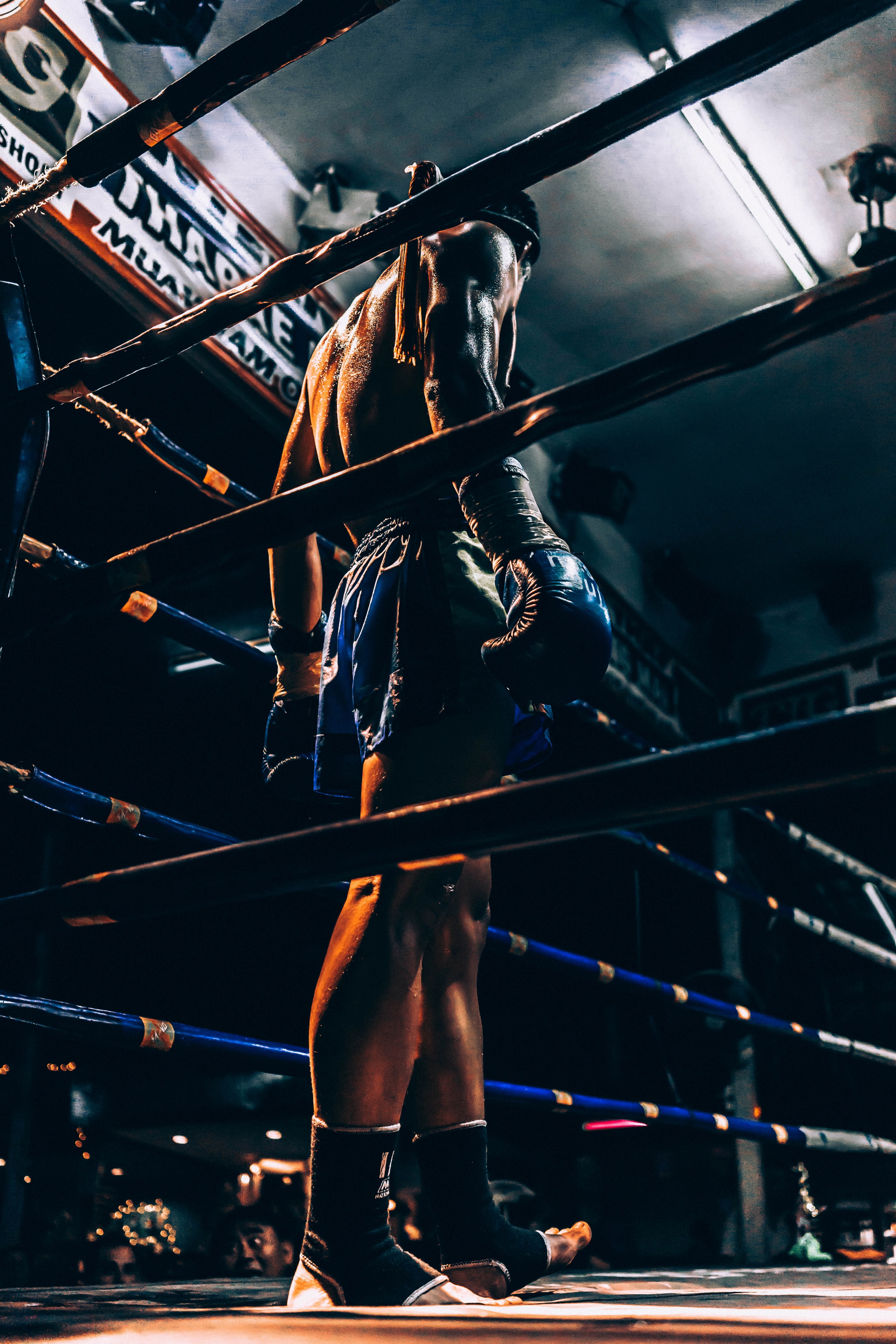 Wallpaper / a male fighter standing in the ring wearing boxing gloves in chiang mai, for glory 4k wallpaper free download