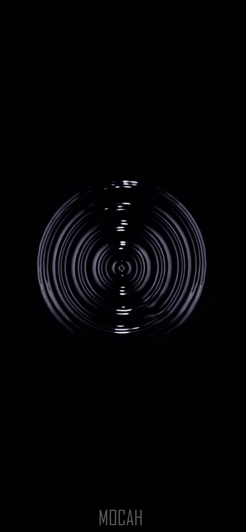 Light, Black and White, Black, Monochrome, Darkness, Apple iPhone 11 background hd, 828x1792 Gallery HD Wallpaper