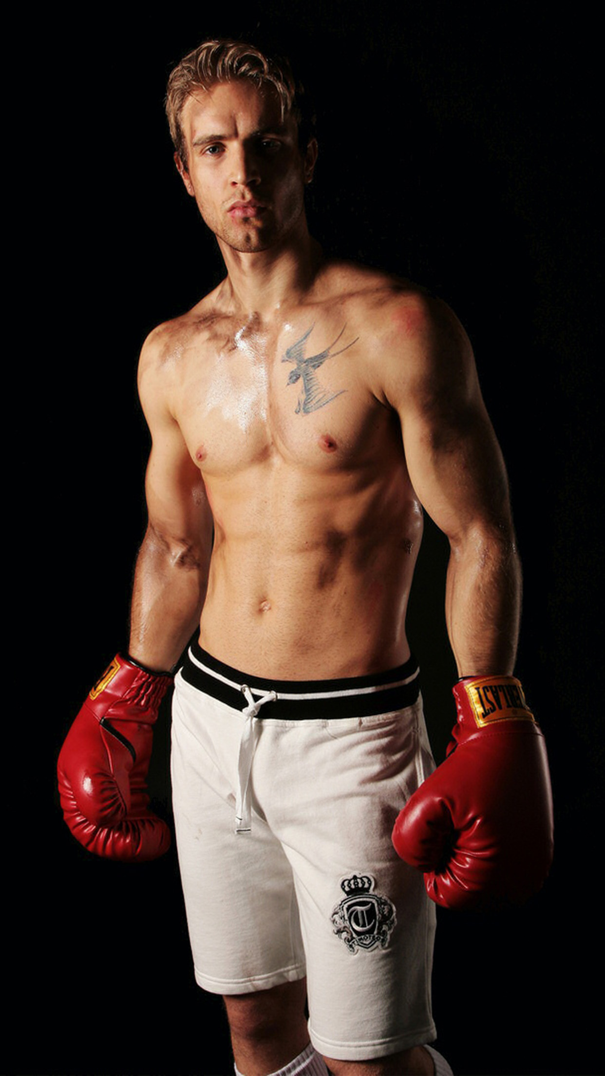 Boxer Wallpaper for iPhone 11, Pro Max, X, 8, 7, 6