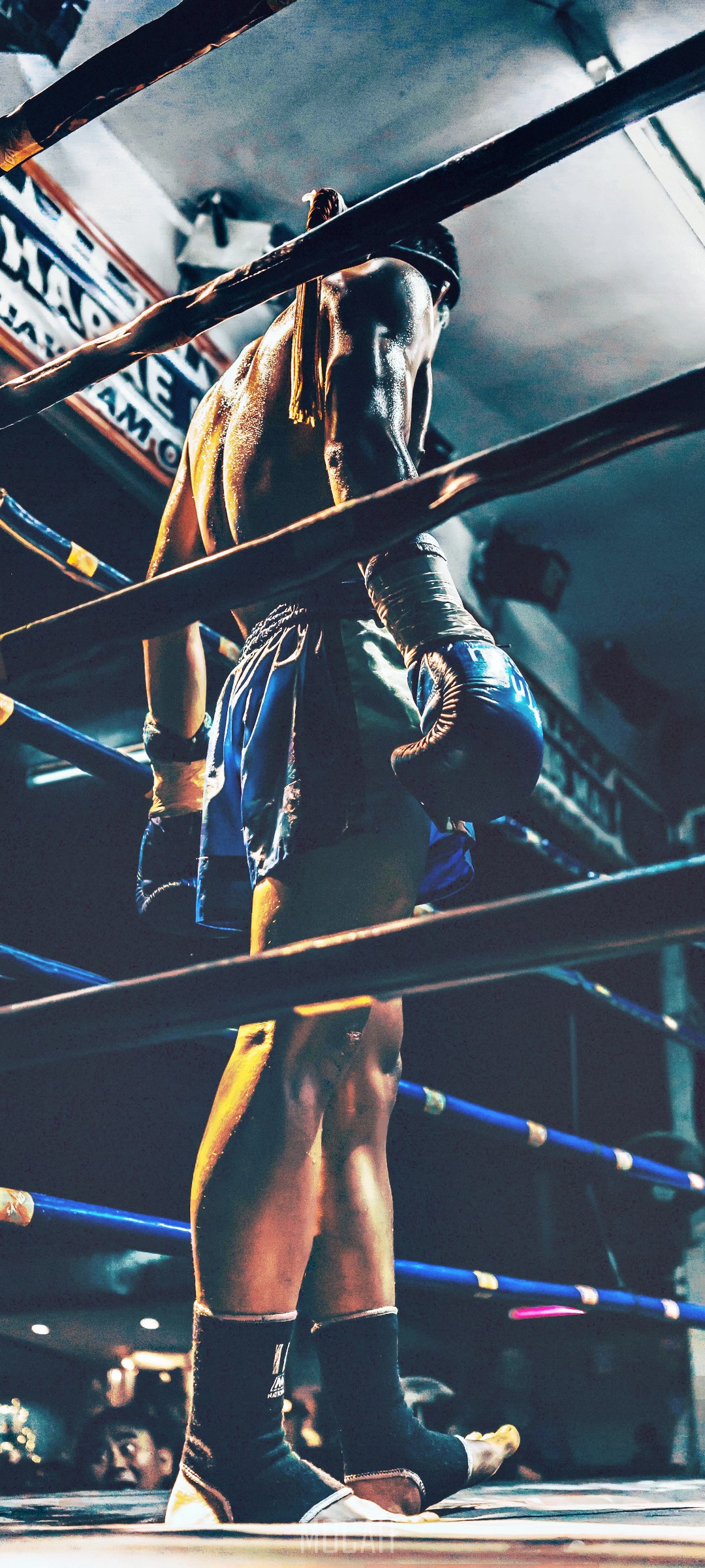 a male fighter standing in the ring wearing boxing gloves in chiang mai, for glory, Oppo A91 background hd, 1080x2400 Gallery HD Wallpaper