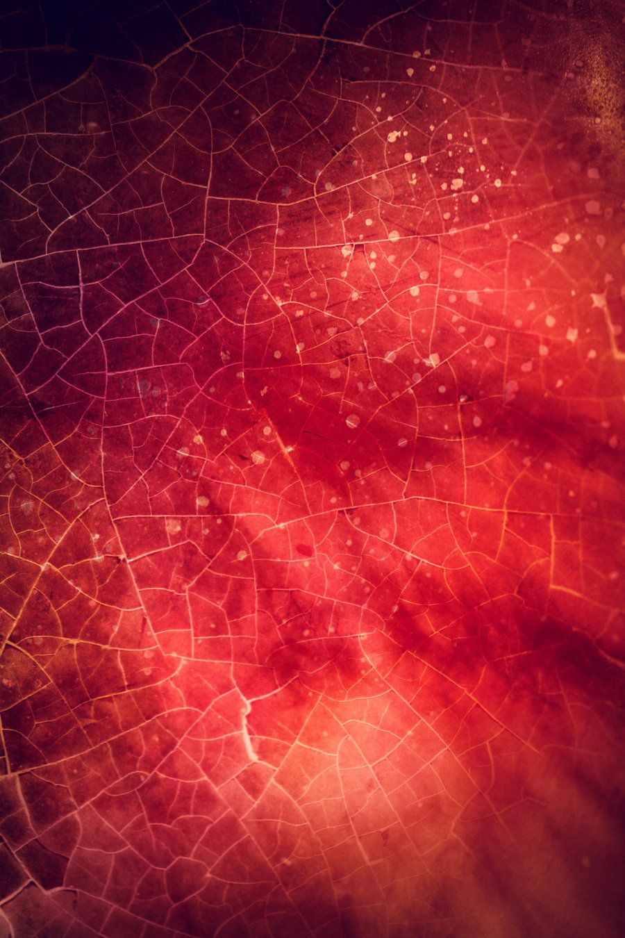 Texture 251 By Sirius Sdz. Red Texture Background, Red And Gold Wallpaper, Free Textures