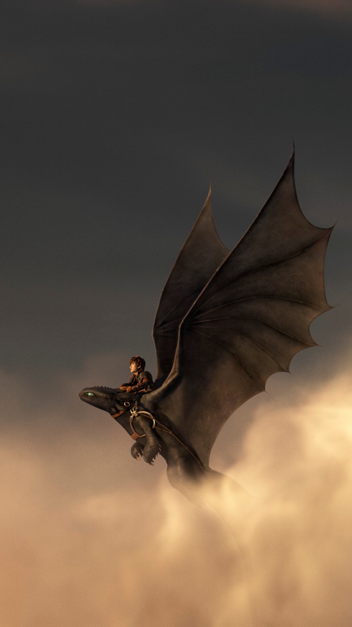 Wallpaper / Movie How to Train Your Dragon 2 Phone Wallpaper, Hiccup (How To Train Your Dragon), Toothless (How To Train Your Dragon), 720x1280 free download
